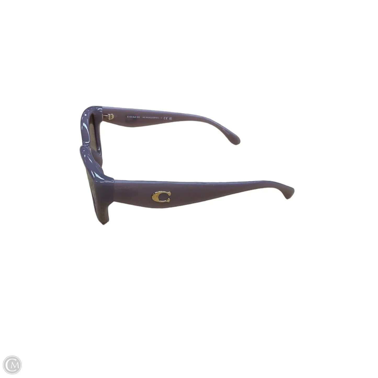 Sunglass Case Designer By Coach