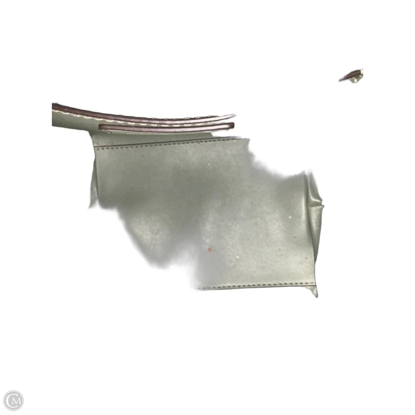 Crossbody Designer By Michael Kors, Size: Medium
