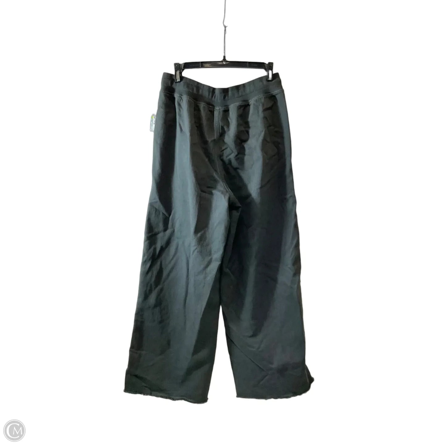 Pants Wide Leg By Aerie In Black, Size: M