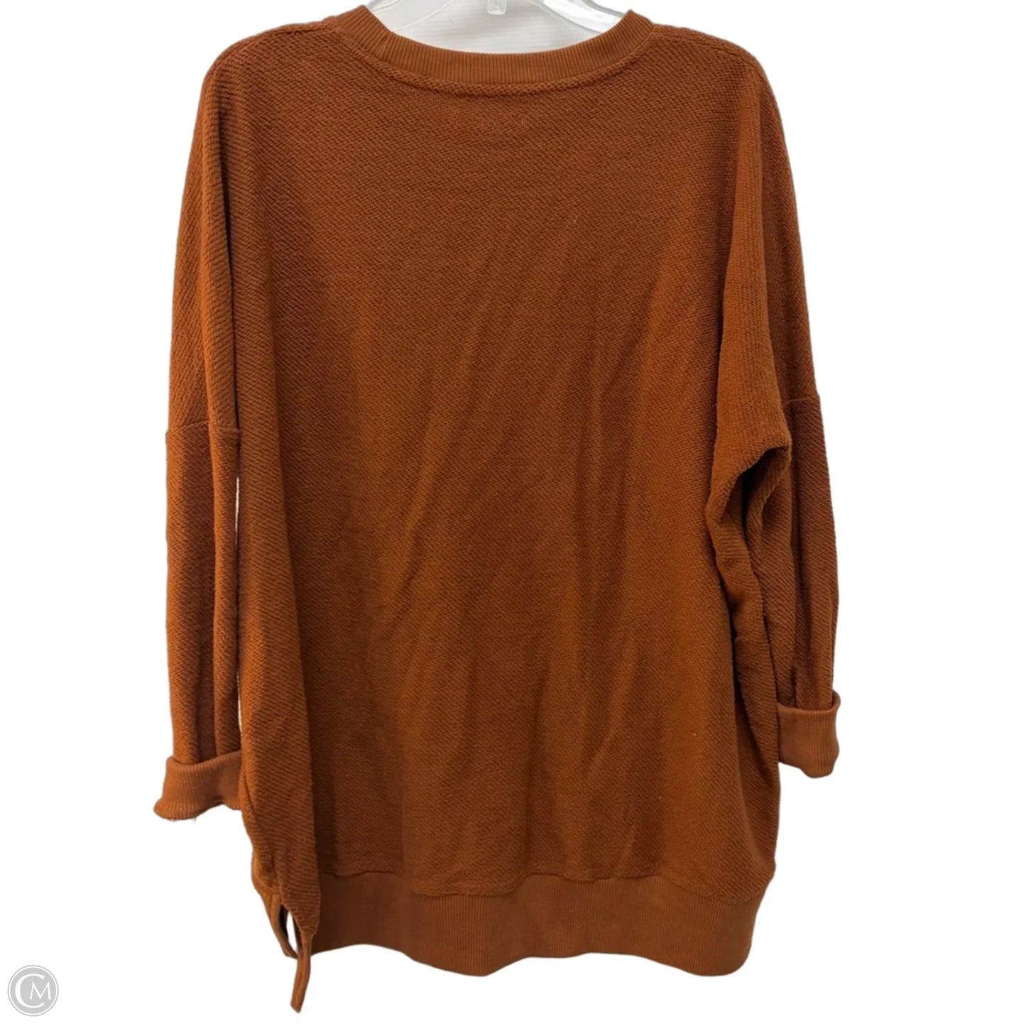 Top Long Sleeve By Aerie In Brown, Size: S