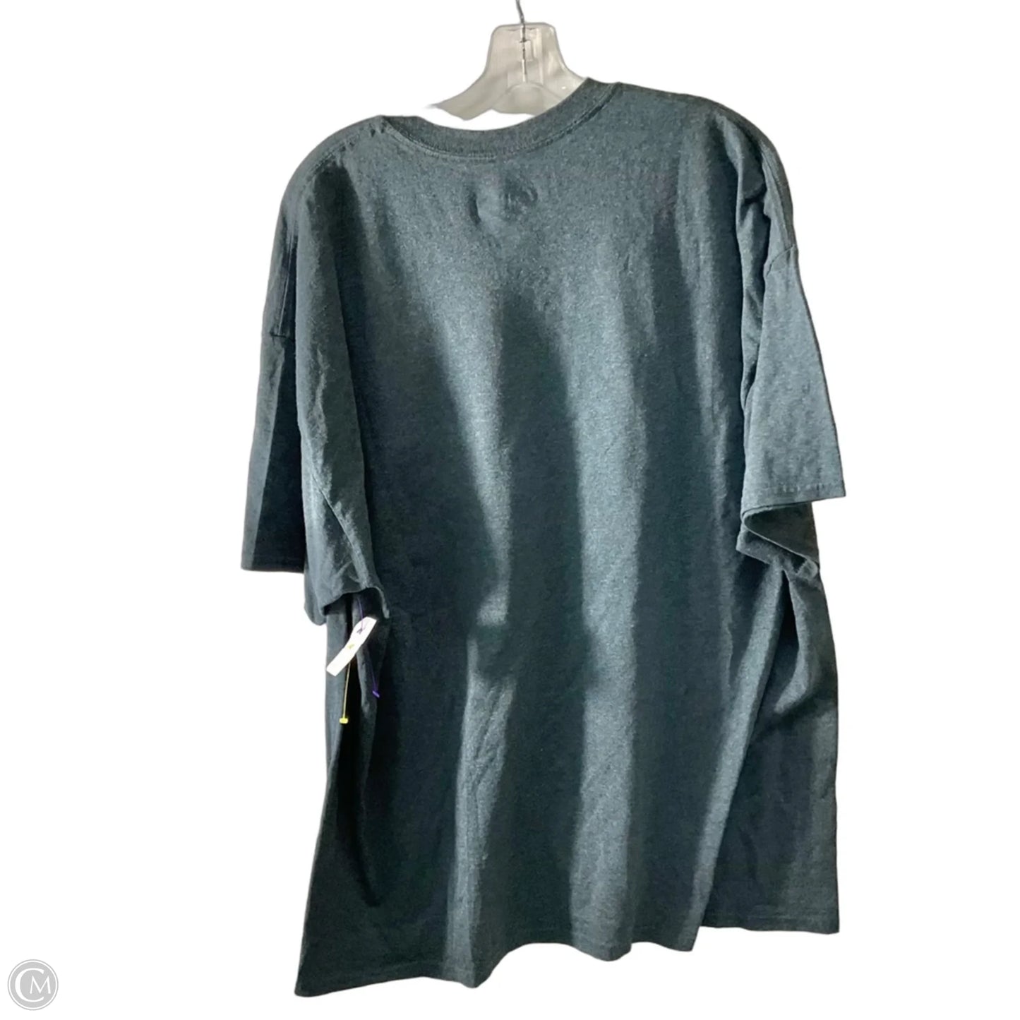 Top Short Sleeve By Nfl In Grey, Size: 2x