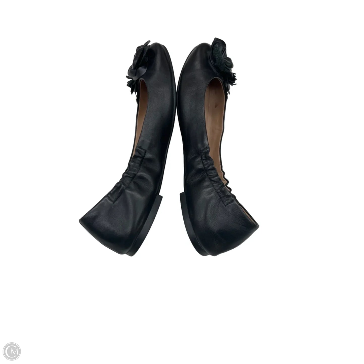 Shoes Designer By Tory Burch In Black, Size: 9