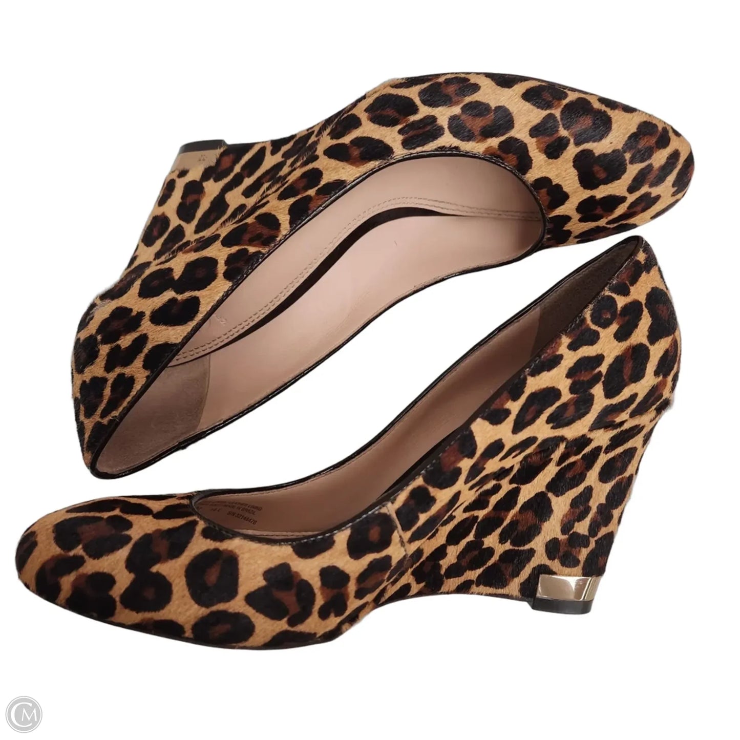 Shoes Designer By Tory Burch In Animal Print, Size: 10.5