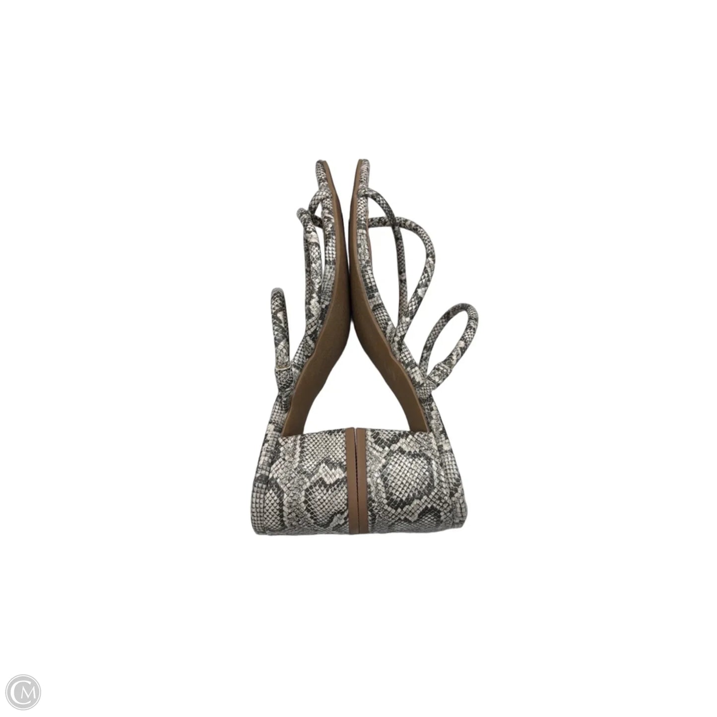 Sandals Heels Block By Dolce Vita In Snakeskin Print, Size: 8.5