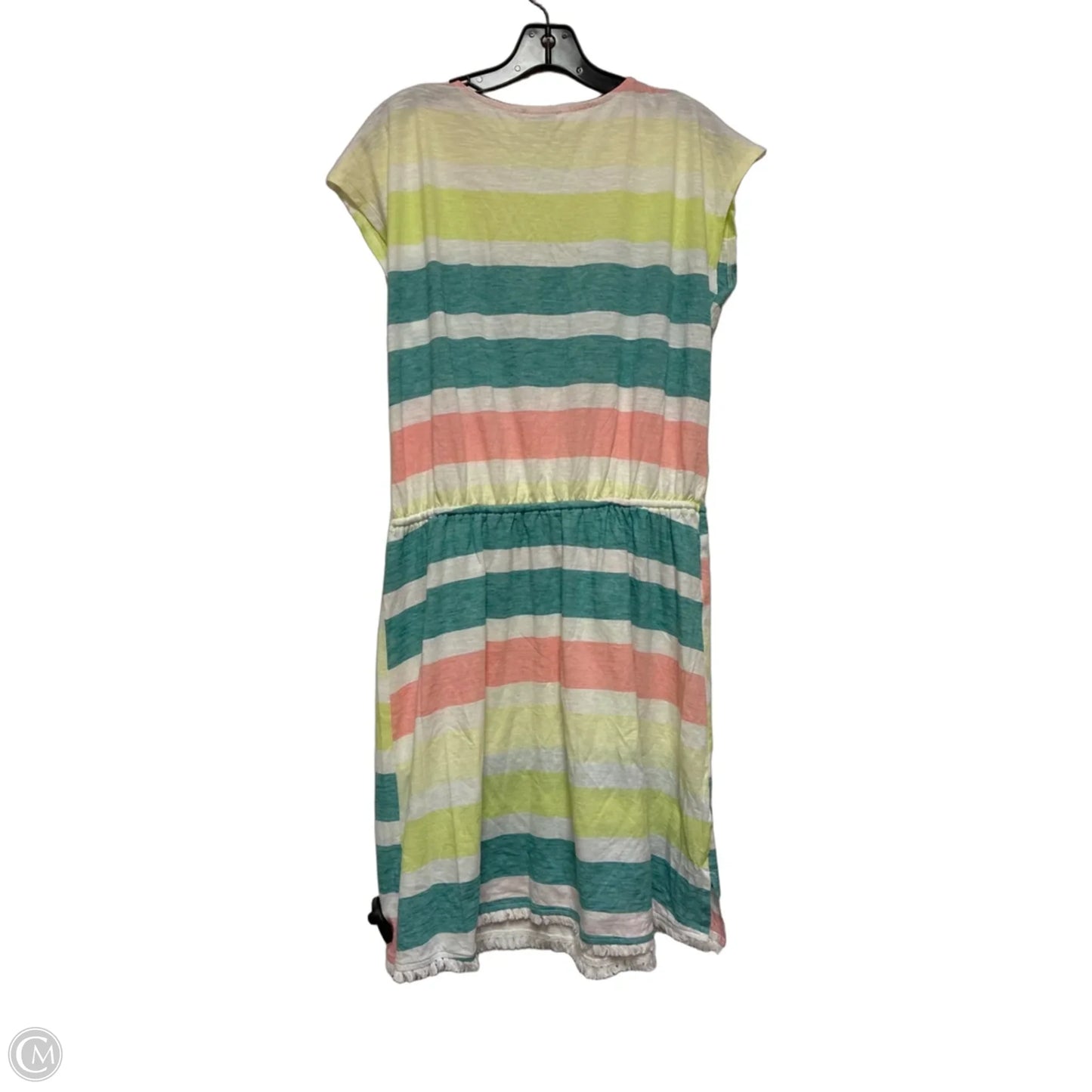 Dress Casual Short By Loft In Striped Pattern, Size: M