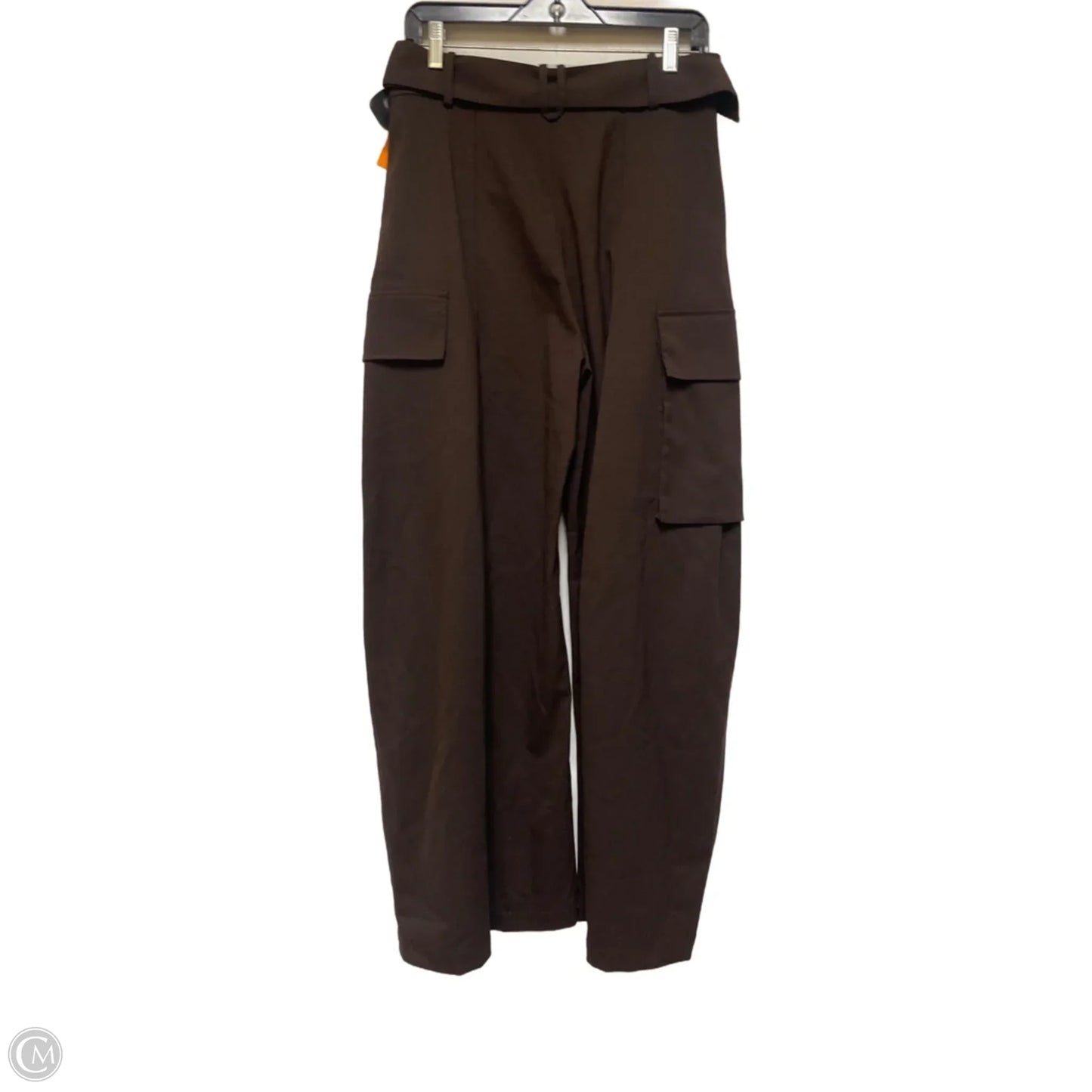 Pants Other By Zara In Brown, Size: 4