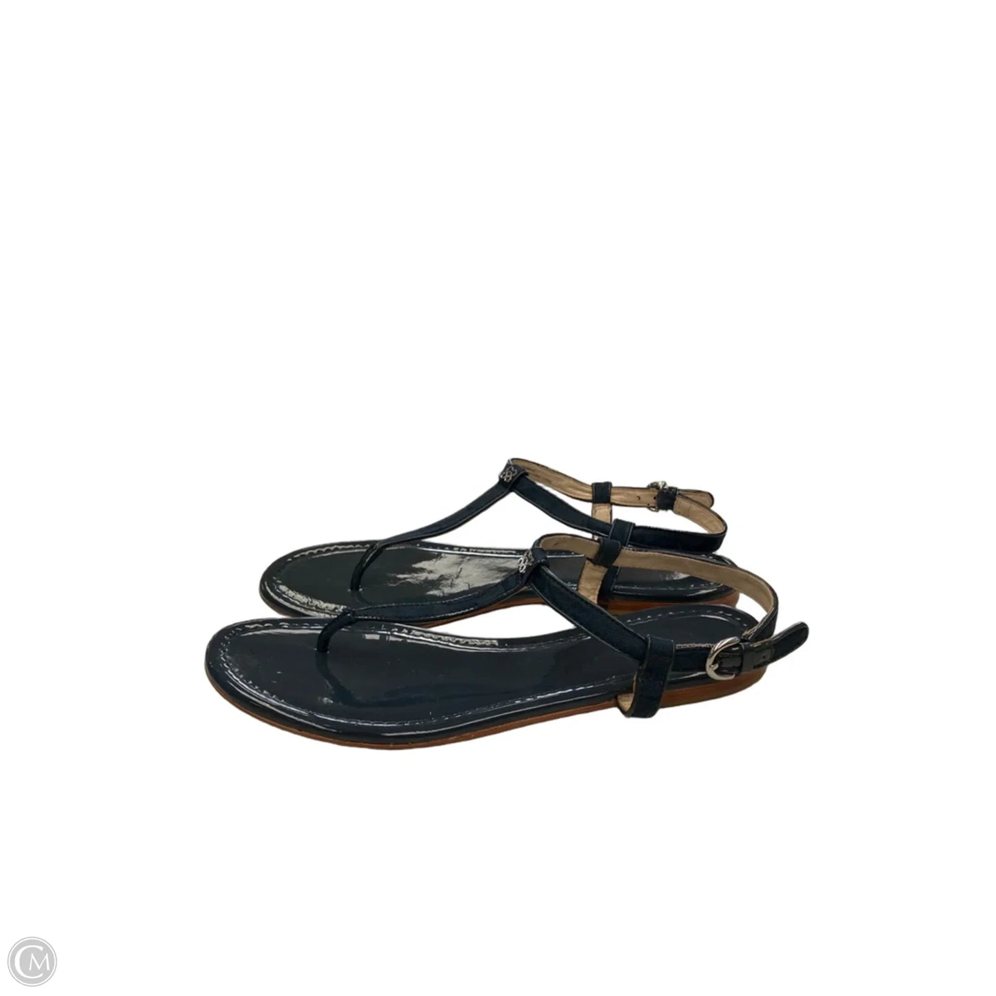 Sandals Designer By Coach In Blue, Size: 10