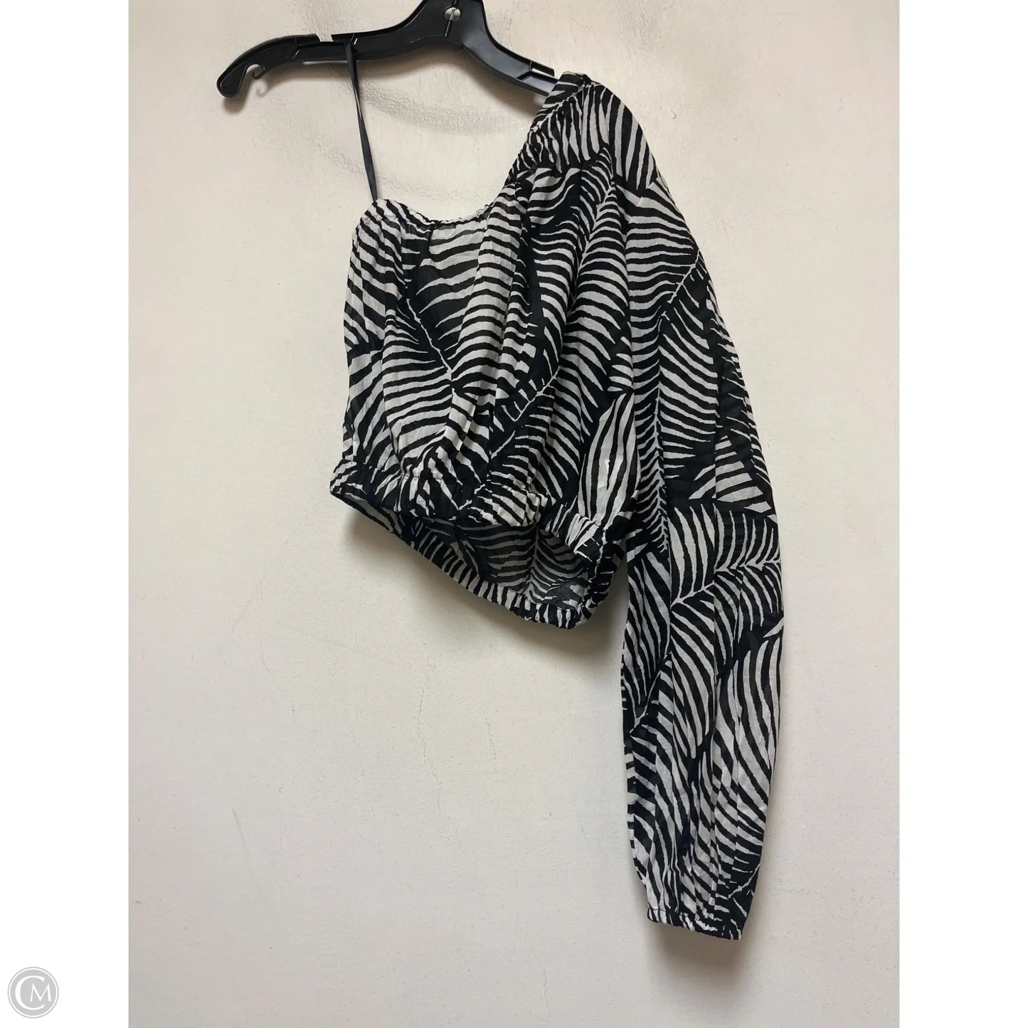 Top Long Sleeve By Ann Taylor In Zebra Print, Size: Xs