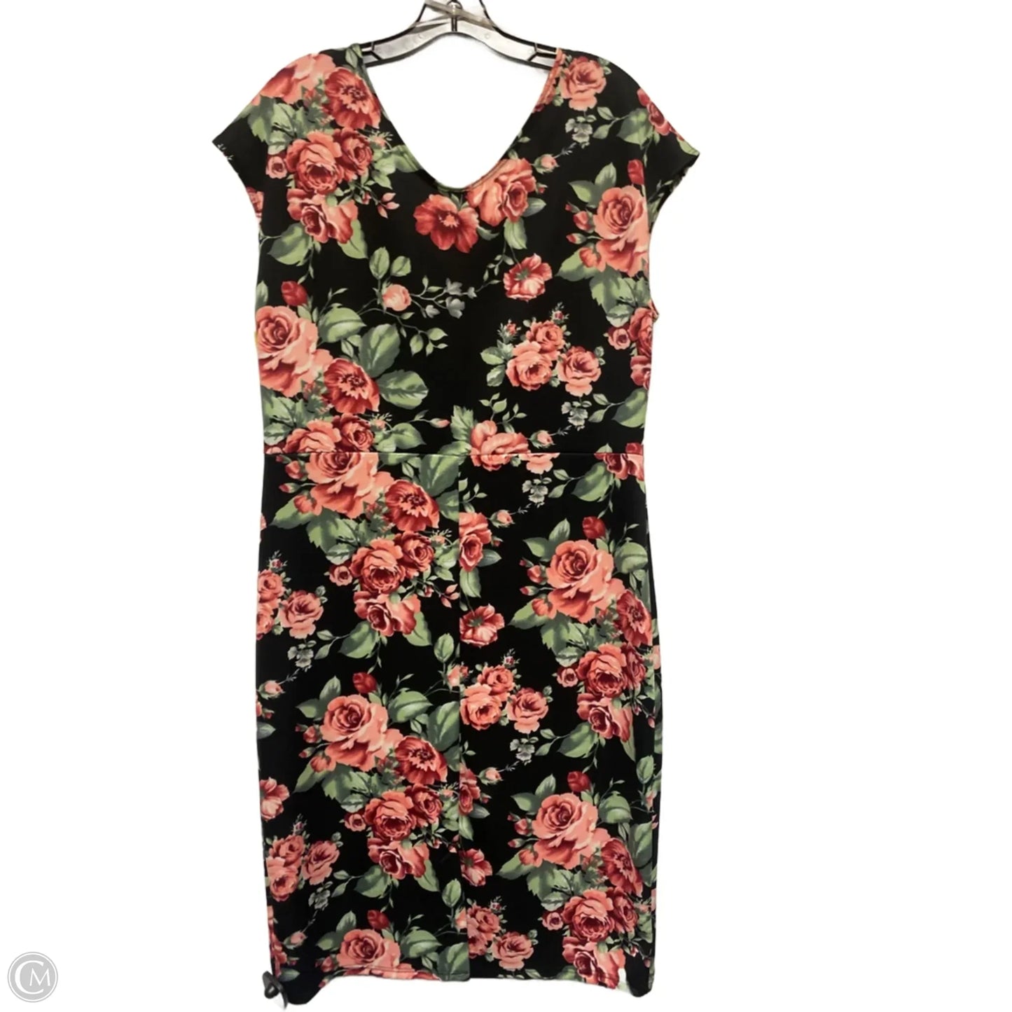 Dress Casual Short By Clothes Mentor In Floral Print, Size: 2x