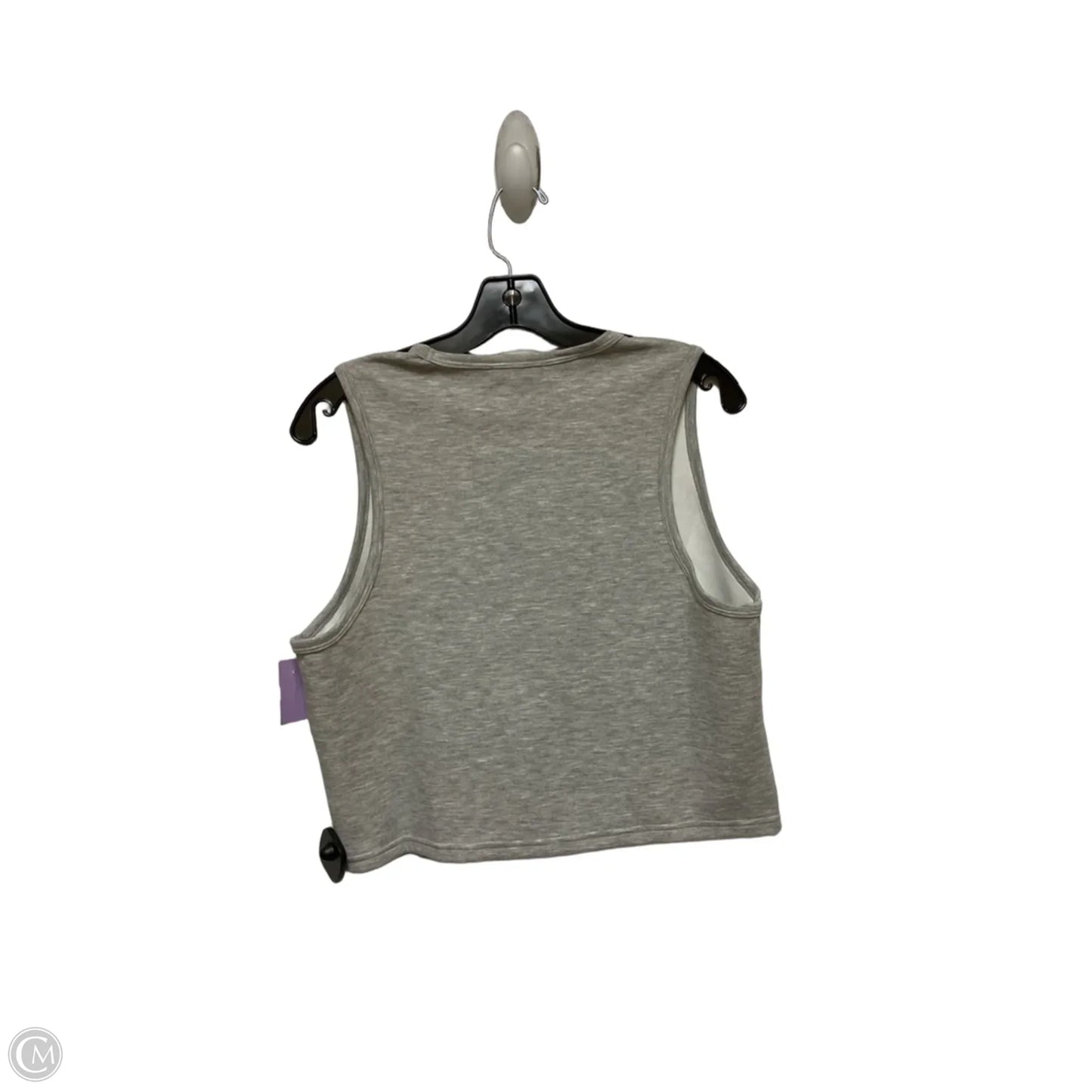 Top Sleeveless By Express In Grey, Size: L