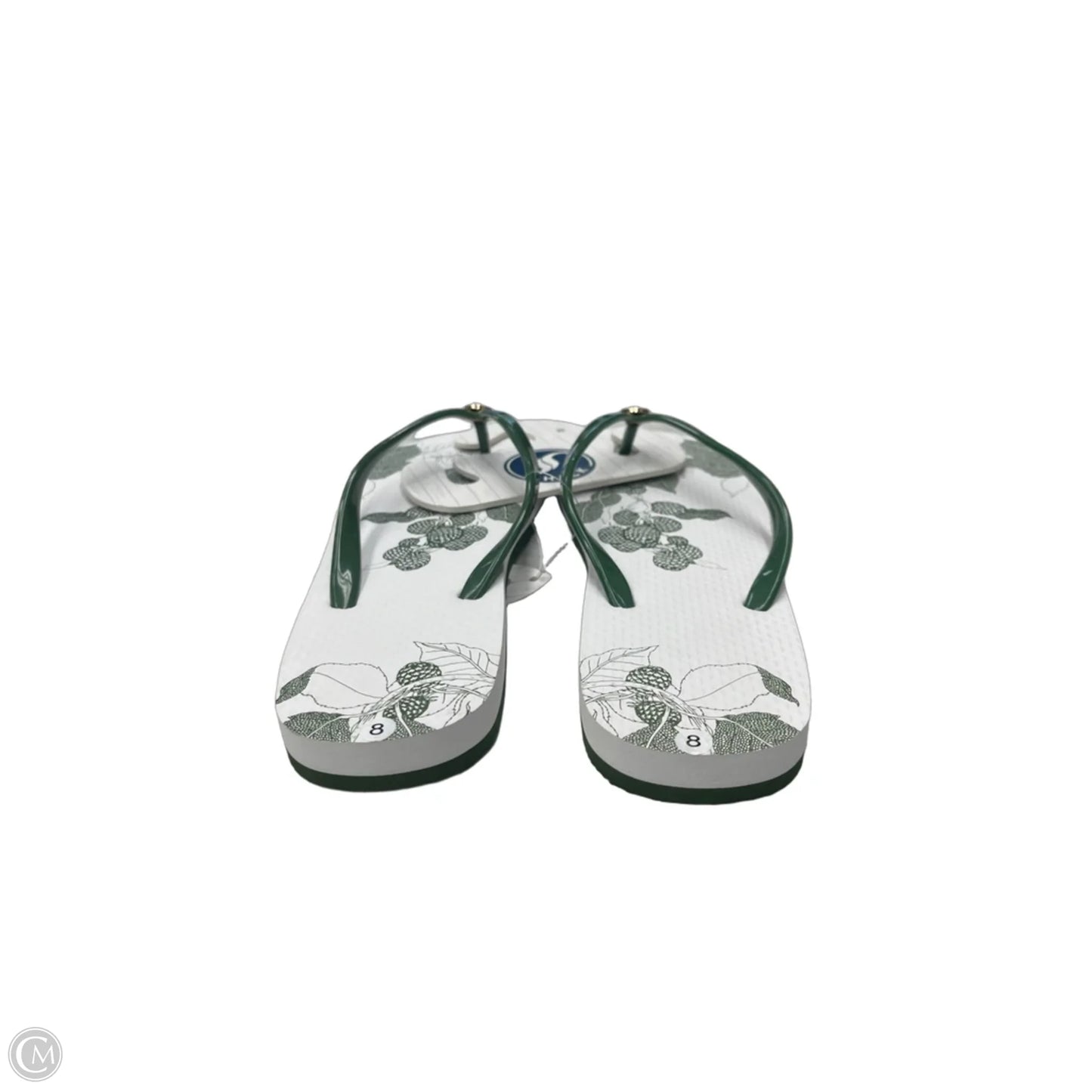 Sandals Flip Flops By Clothes Mentor In Green & White, Size: 8