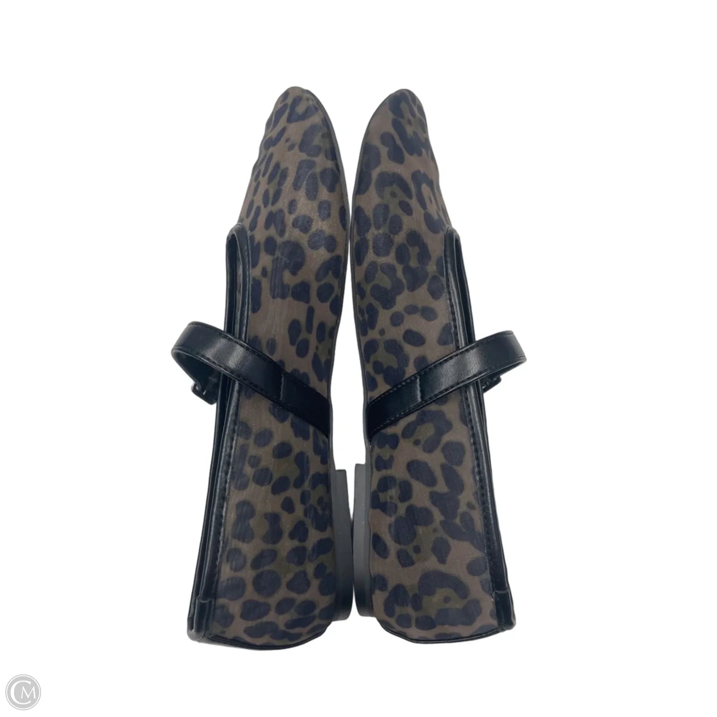 Shoes Flats By Steve Madden In Animal Print, Size: 10