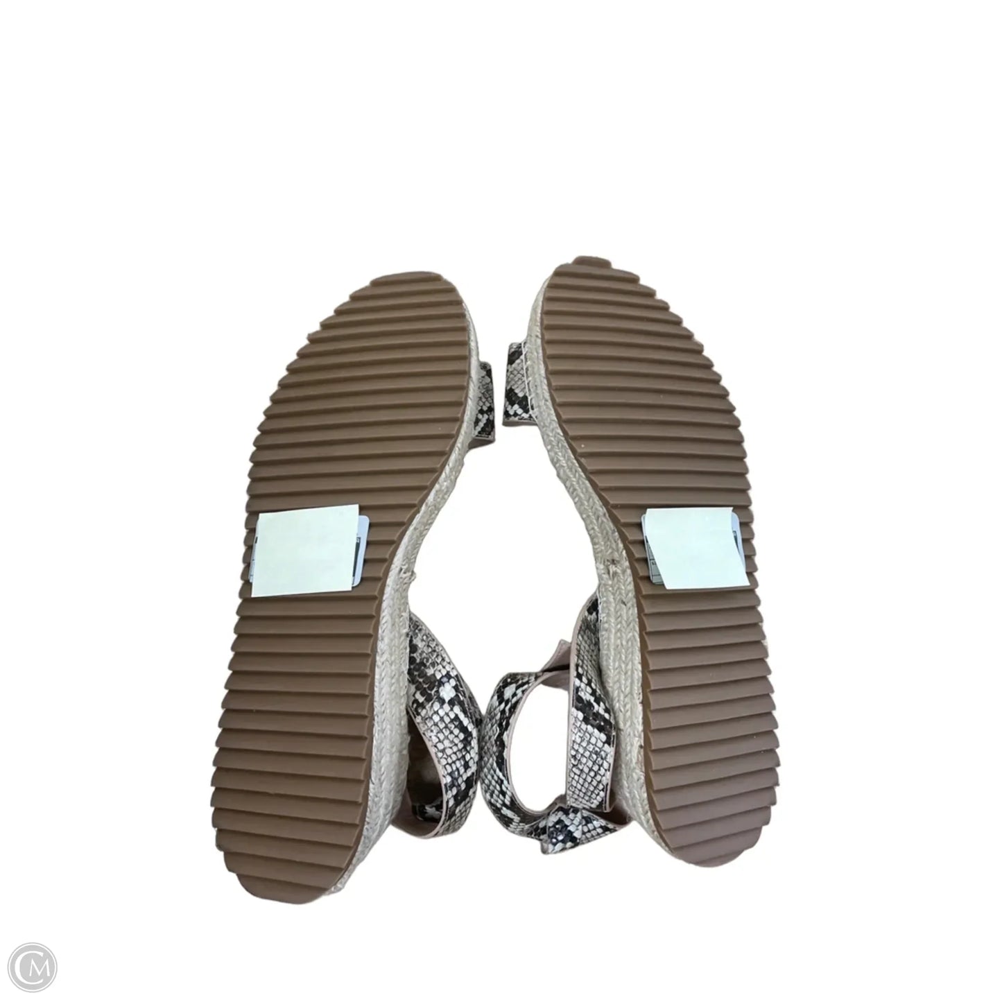 Sandals Heels Platform By Steve Madden In Snakeskin Print, Size: 10