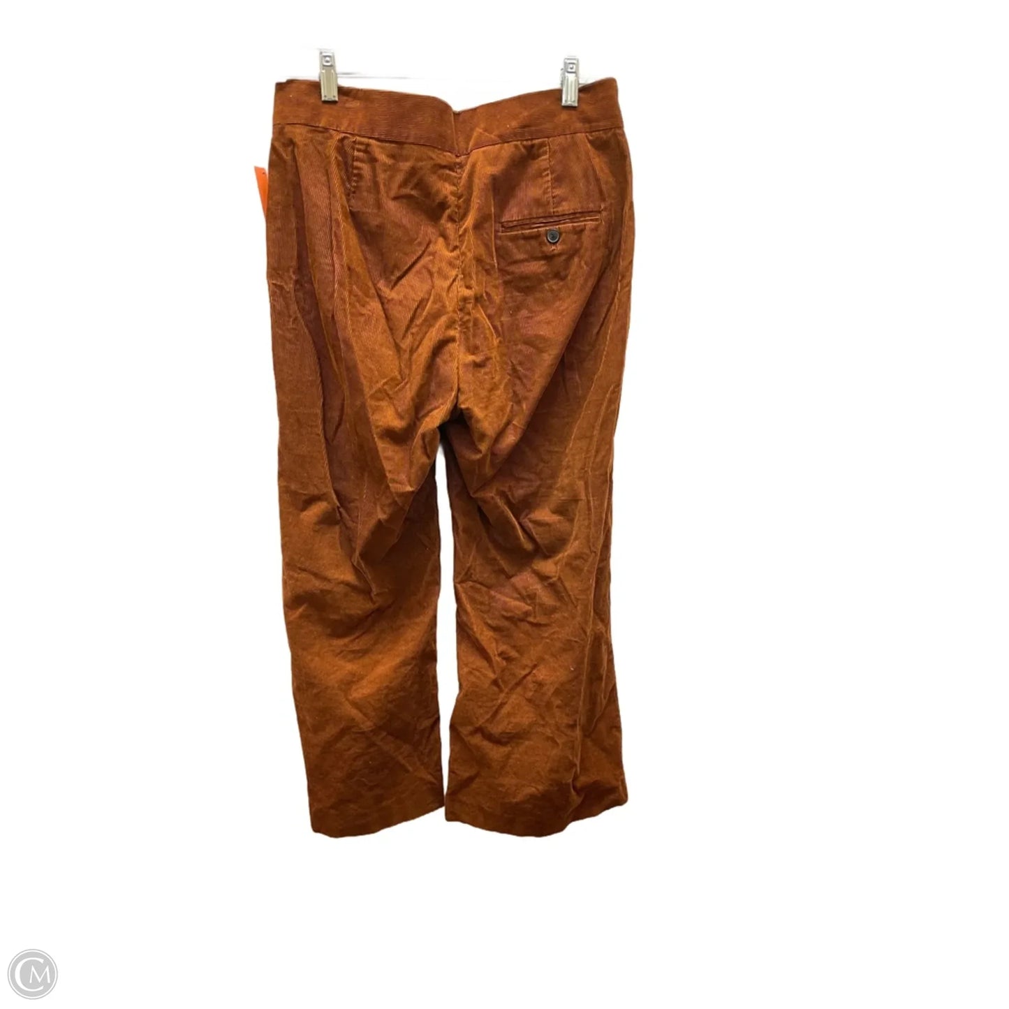 Pants Corduroy By Zara Women In Brown, Size: M