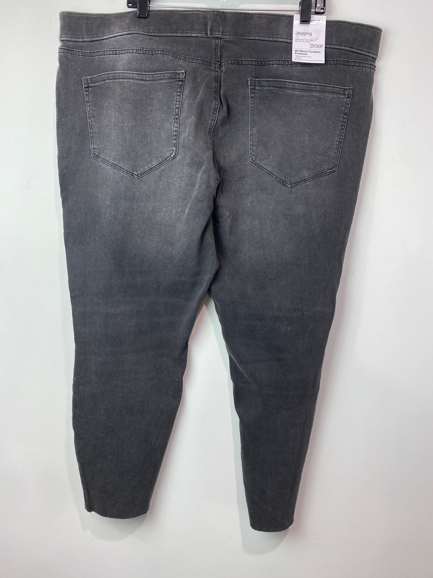 Jeans Jeggings By Sonoma  Size: 22