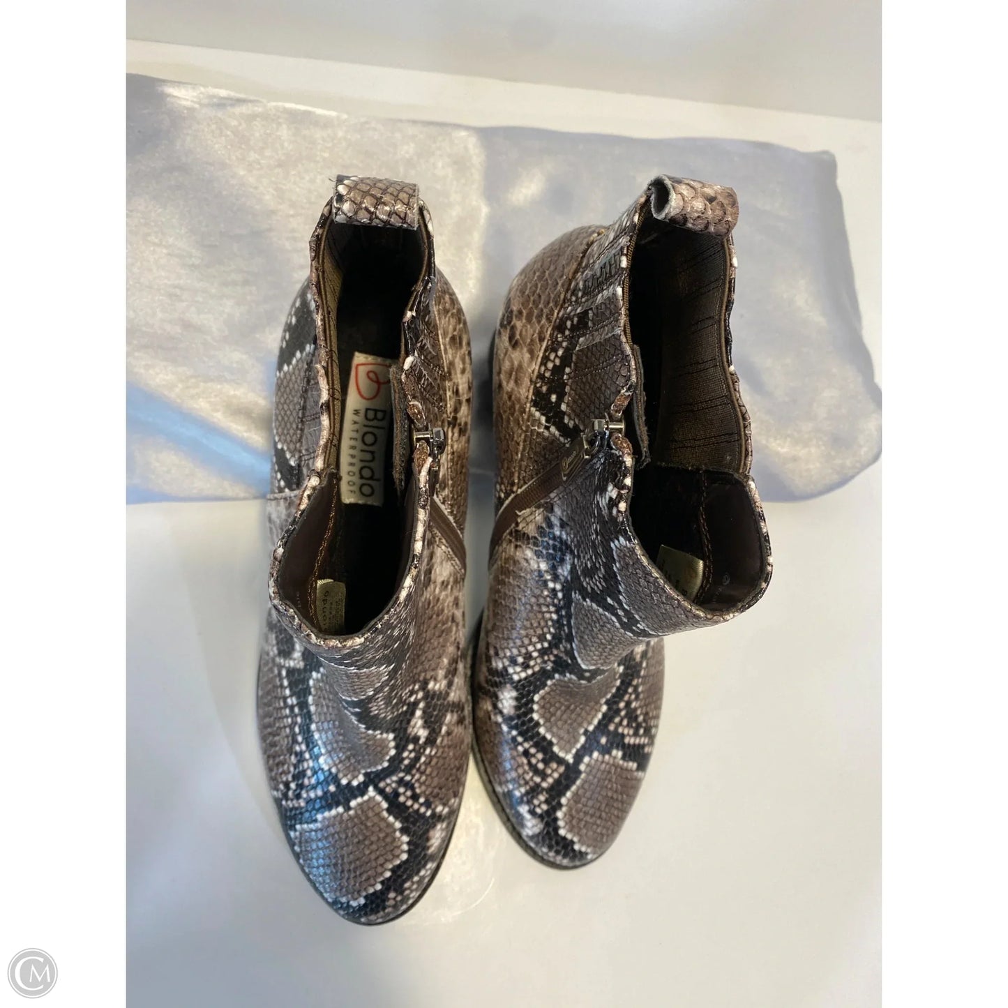 Shoes Heels Block By Blondo In Snakeskin Print, Size: 11