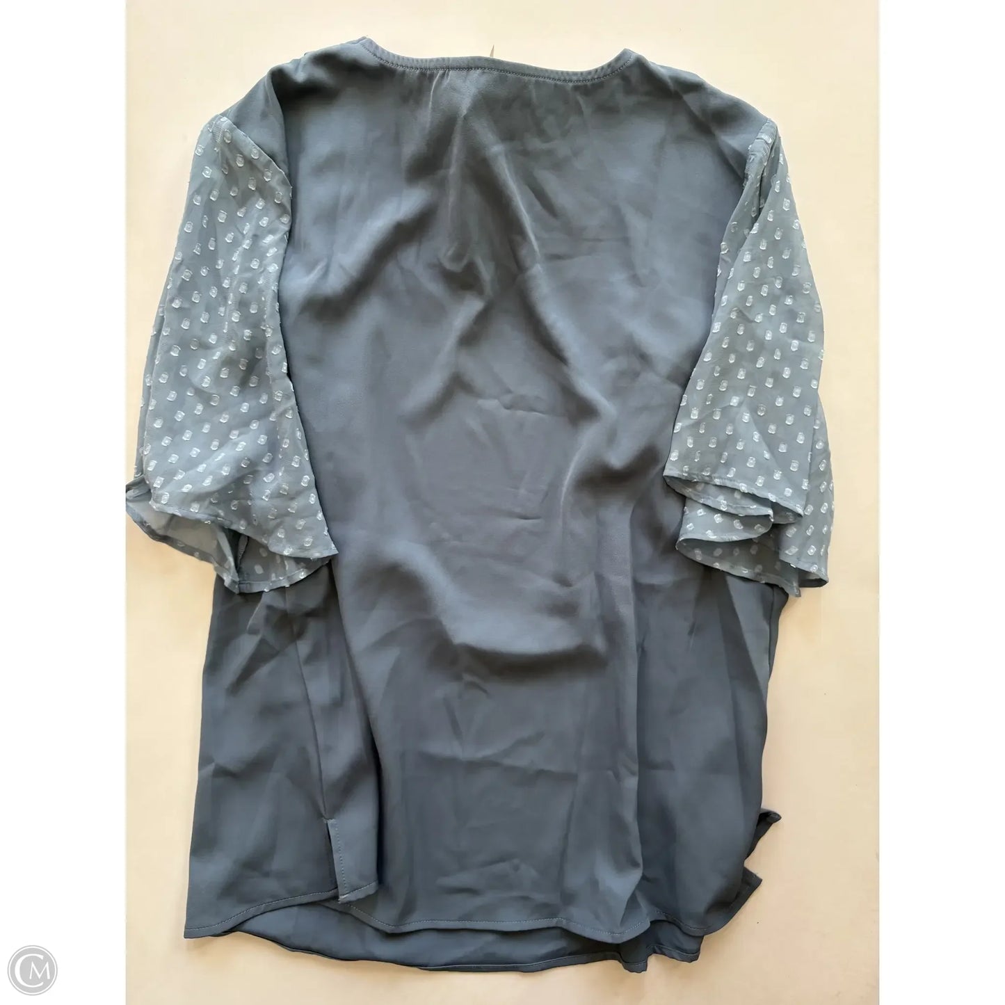 Blouse Long Sleeve By Clothes Mentor In Blue, Size: 1x