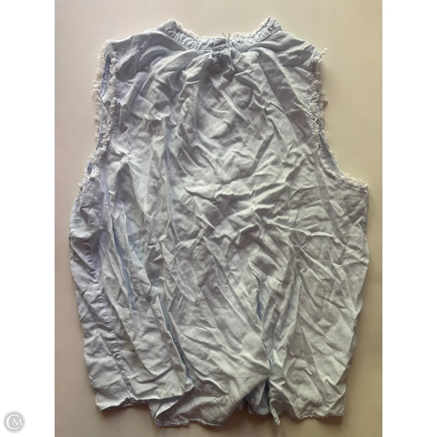 Top Sleeveless By Workshop In Blue, Size: 2x