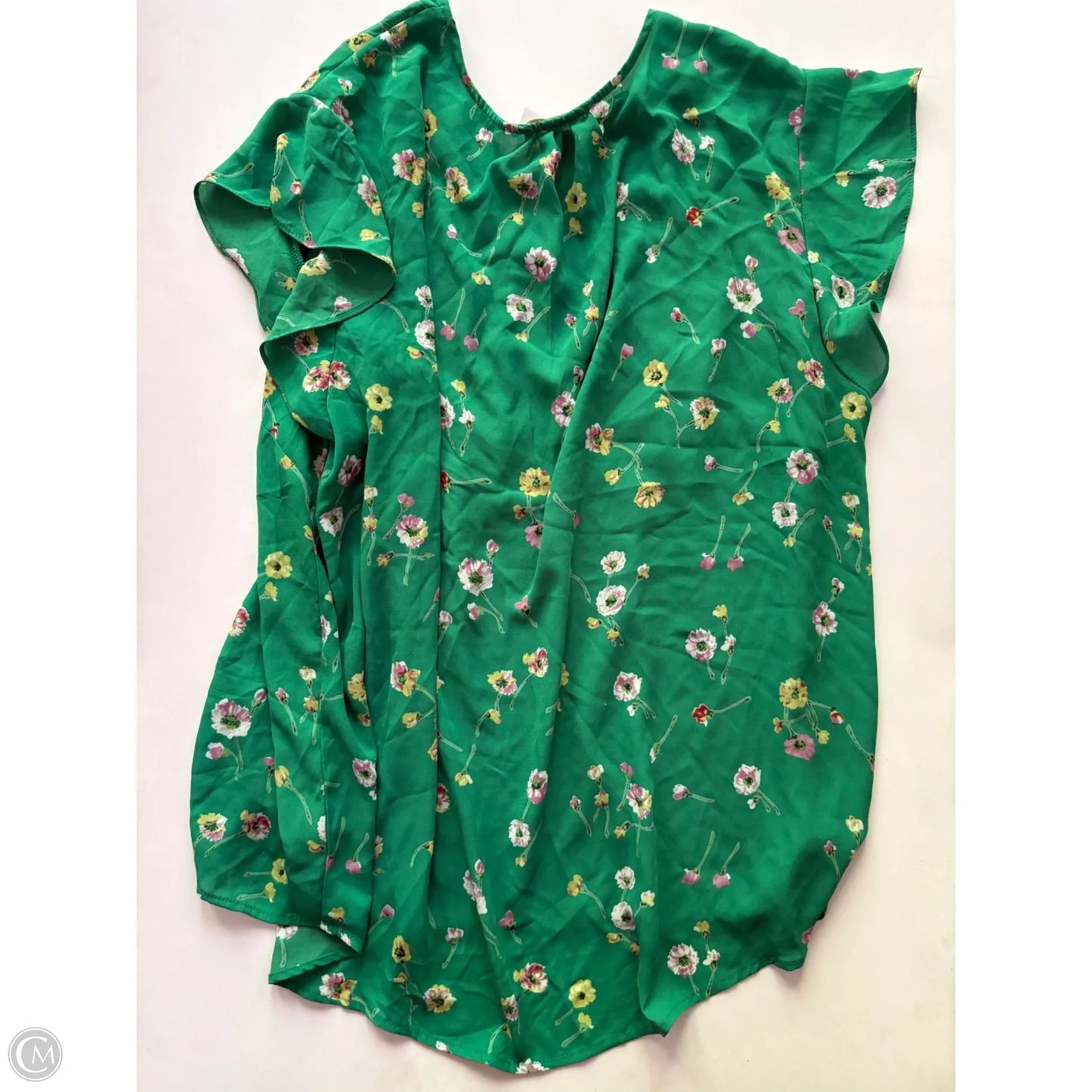 Blouse Short Sleeve By Cynthia Rowley In Green, Size: 2x