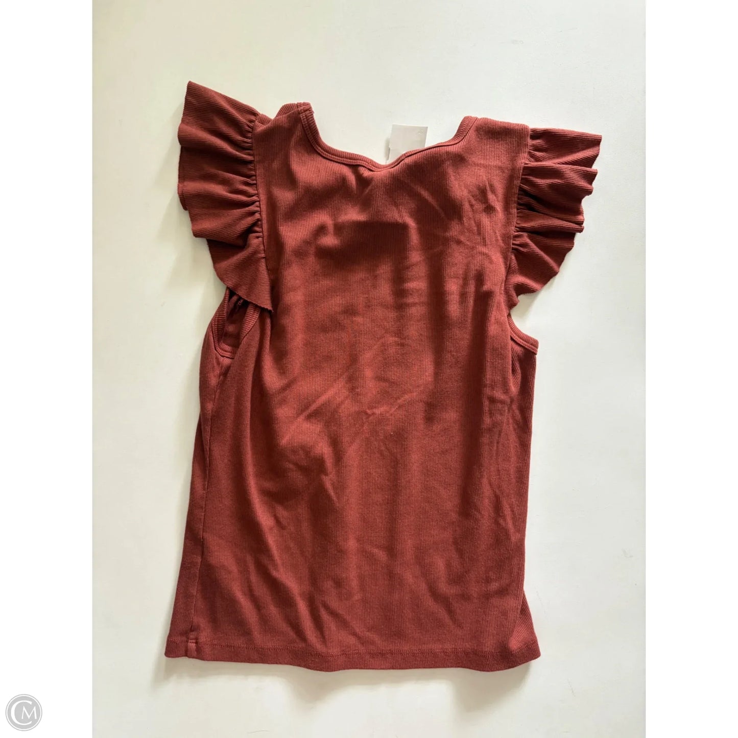 Top Short Sleeve By Michael Stars In Brown, Size: M
