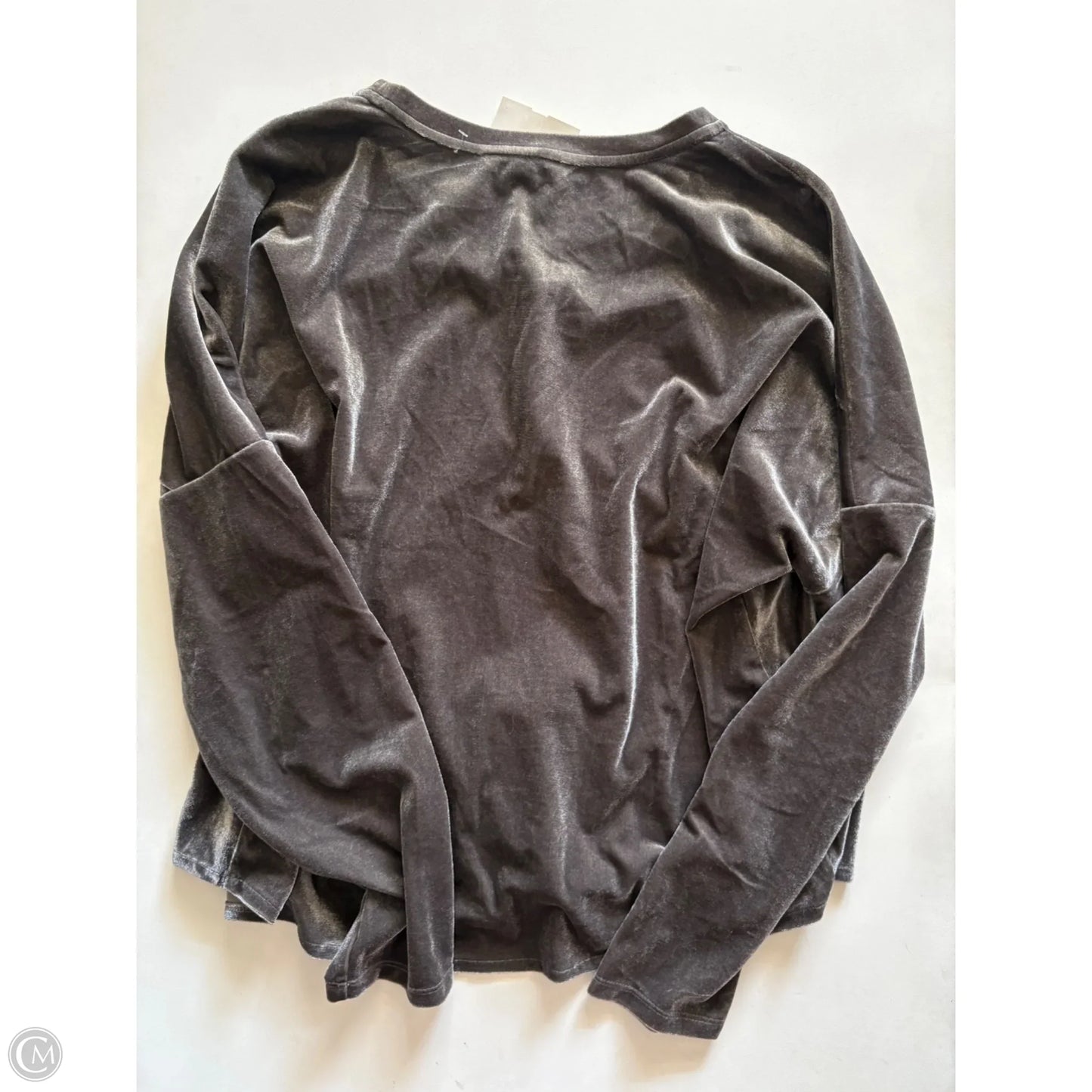 Top Long Sleeve By Ellen Tracy In Grey, Size: Xl