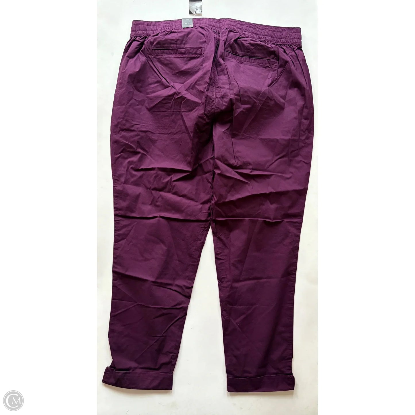 Pants Cargo & Utility By Torrid In Maroon, Size: 2x