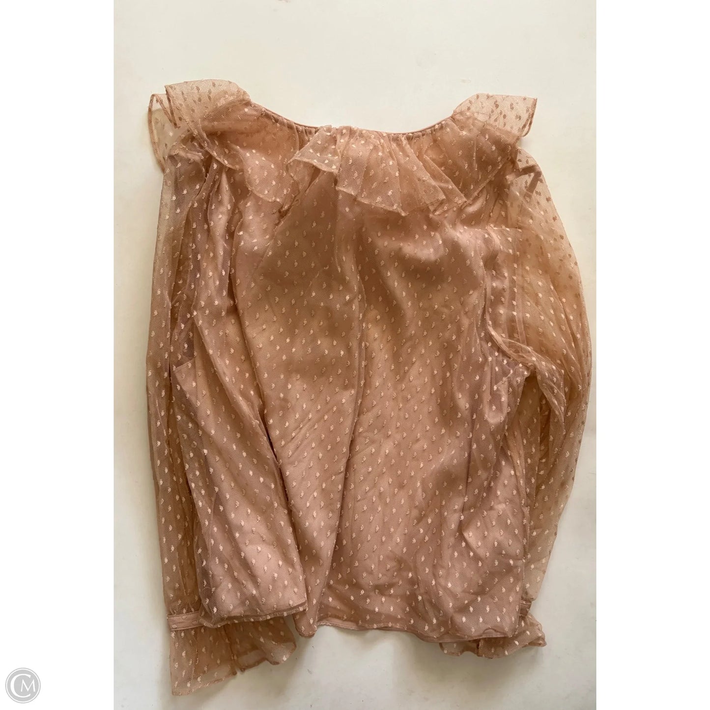 Top Long Sleeve By J. Crew In Beige, Size: 3x