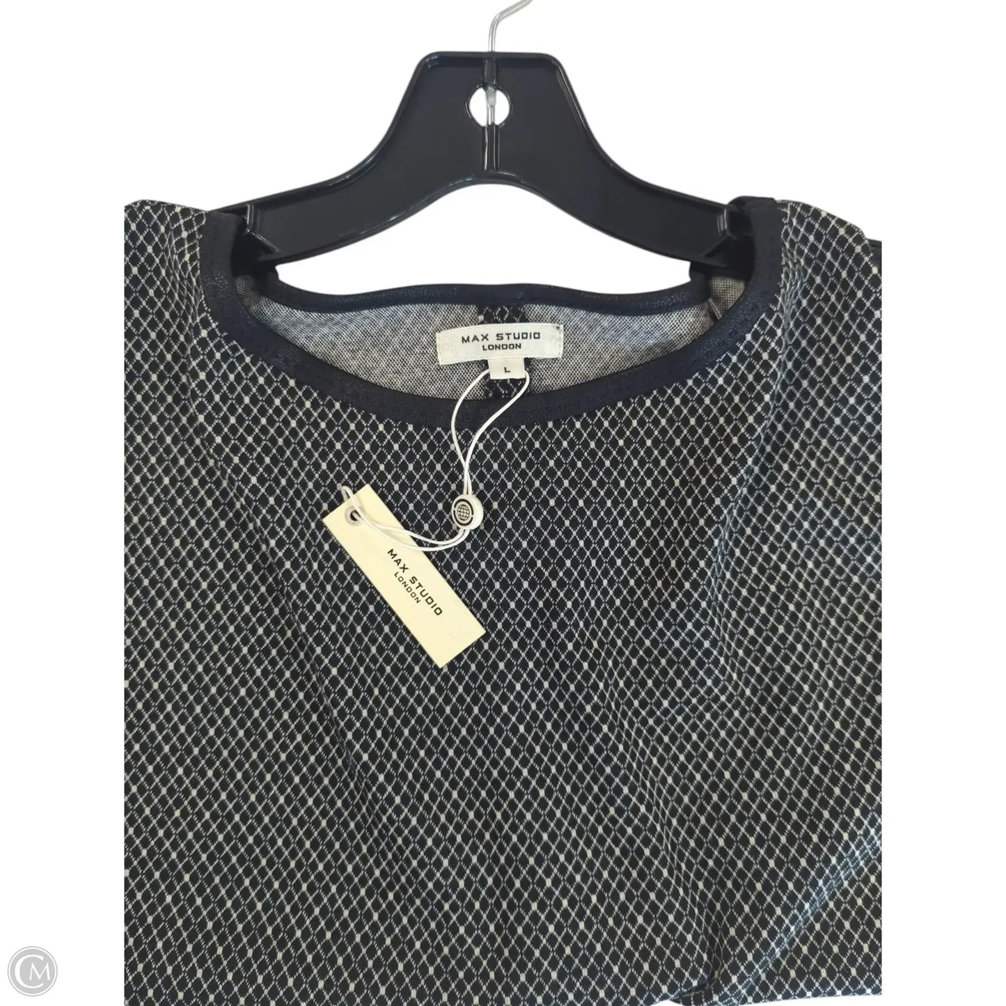 Top Sleeveless By Max Studio In Blue & Cream, Size: L