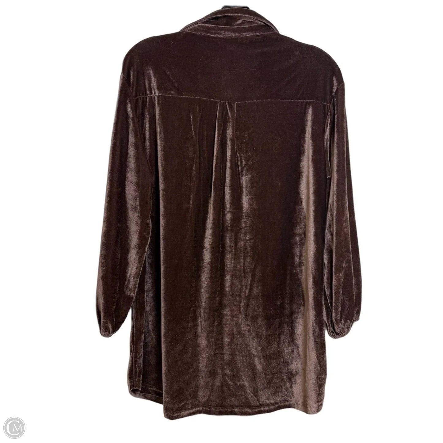 Top Long Sleeve By Clothes Mentor In Bronze, Size: Xs