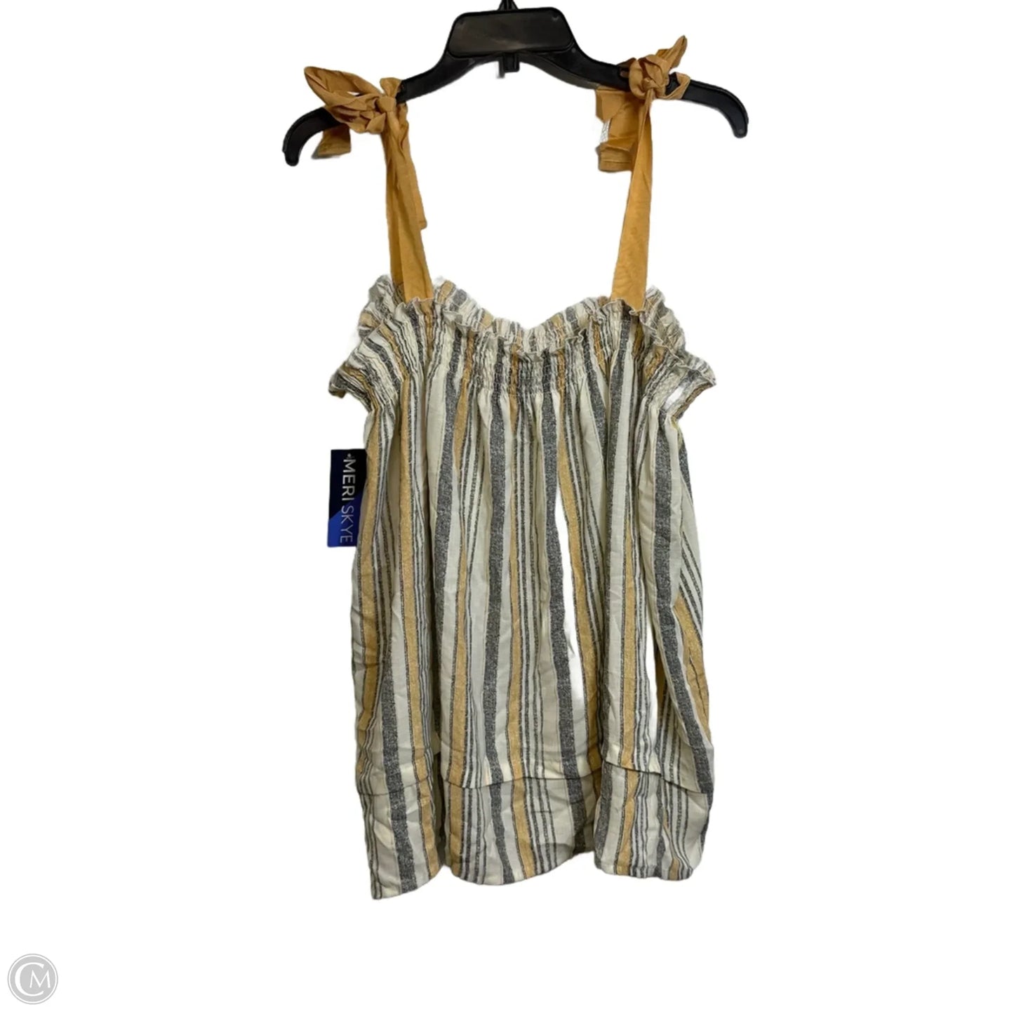 Top Sleeveless By Clothes Mentor In Striped Pattern, Size: 4x