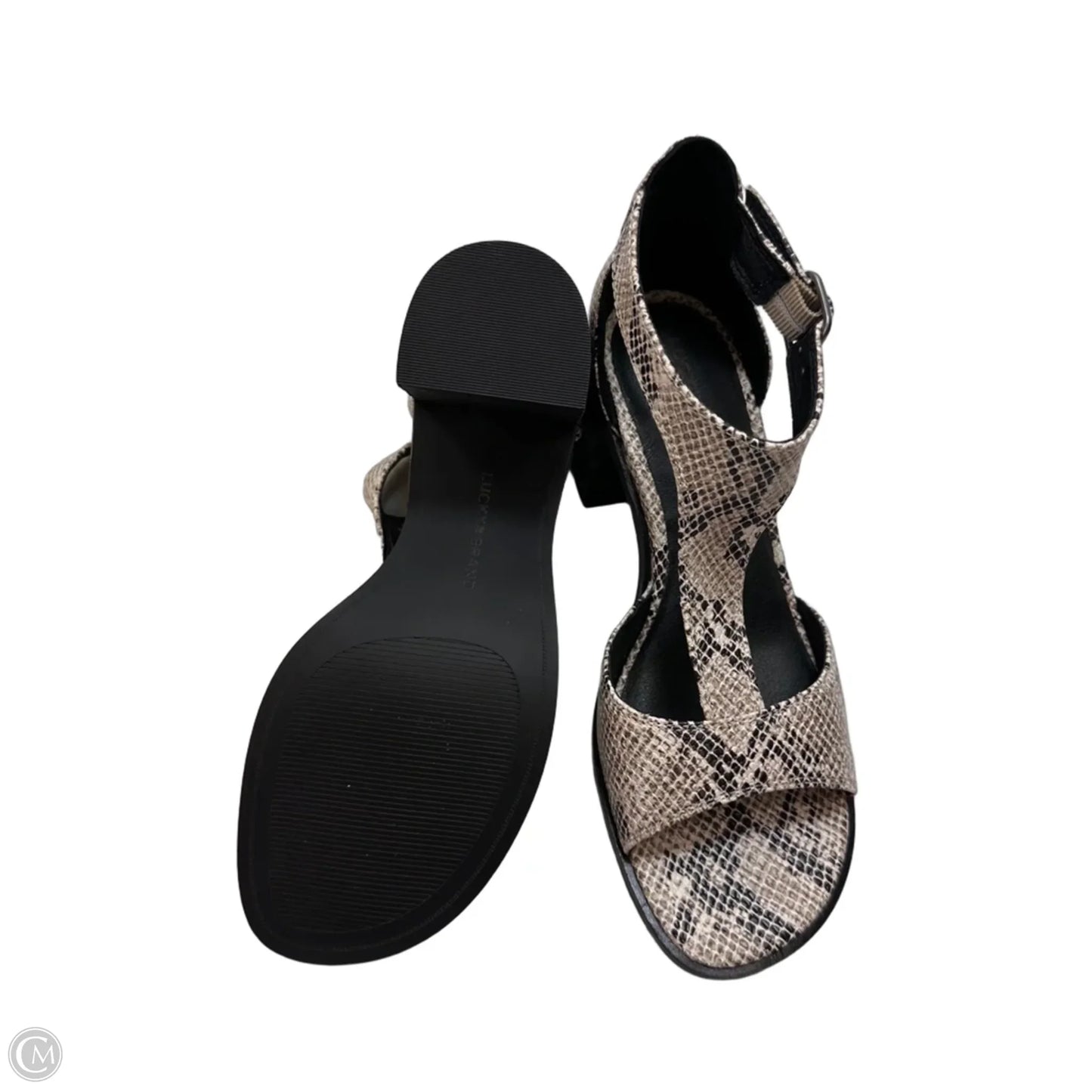 Sandals Heels Block By Lucky Brand In Snakeskin Print, Size: 7