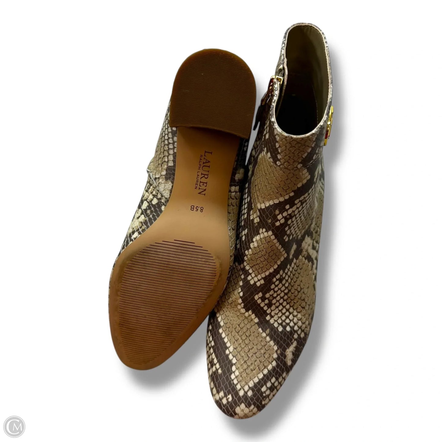 Boots Ankle Heels By Lauren By Ralph Lauren In Snakeskin Print, Size: 8.5