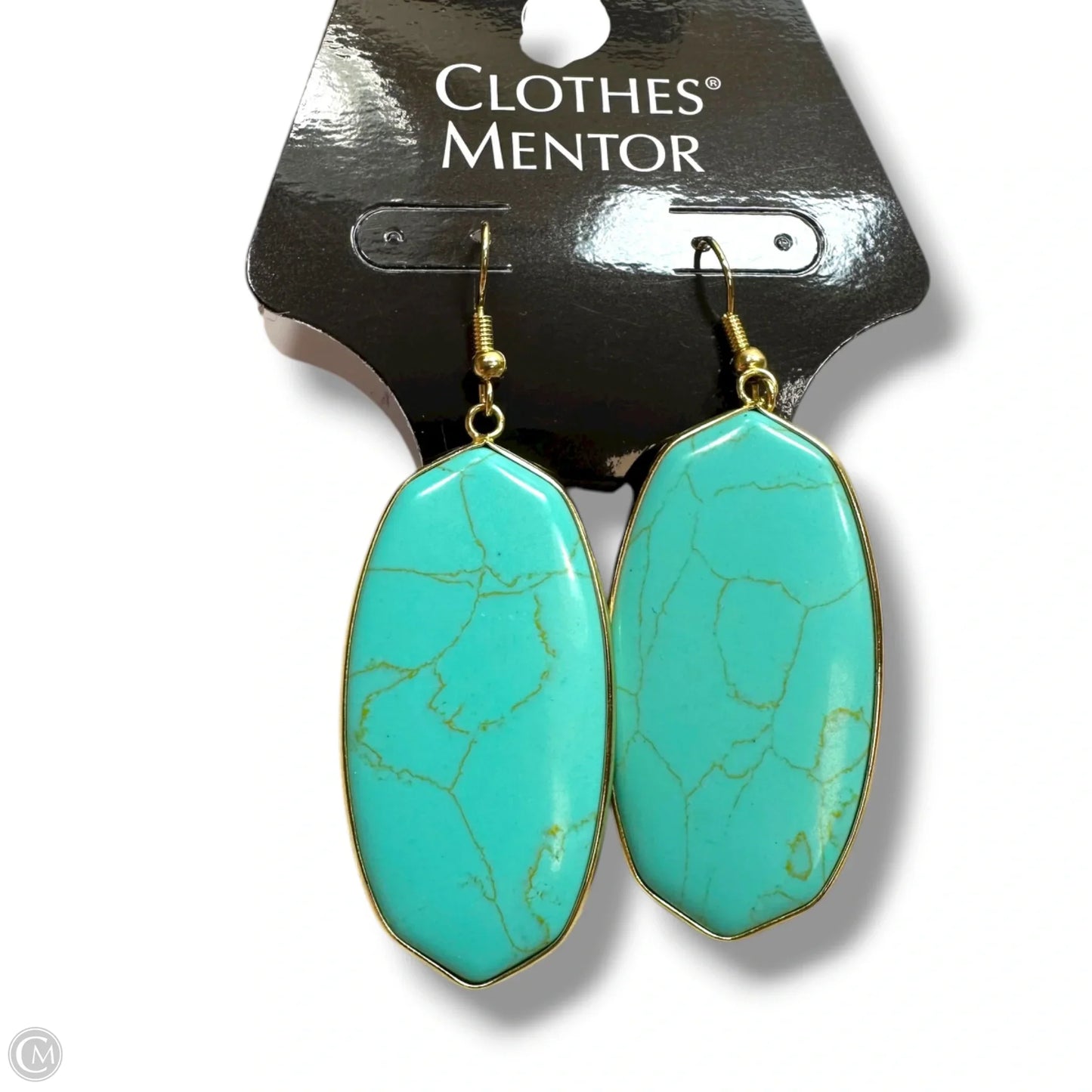 Earrings Dangle/drop By Clothes Mentor
