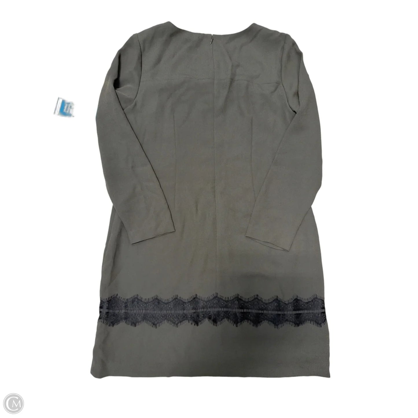 New! Dress Casual Short By Ann Taylor In Grey, Size: L