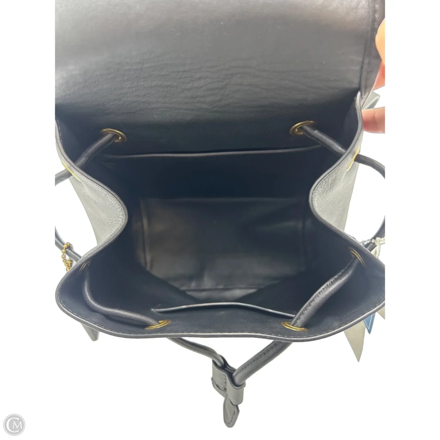 Coach Daypack Designer Backpack