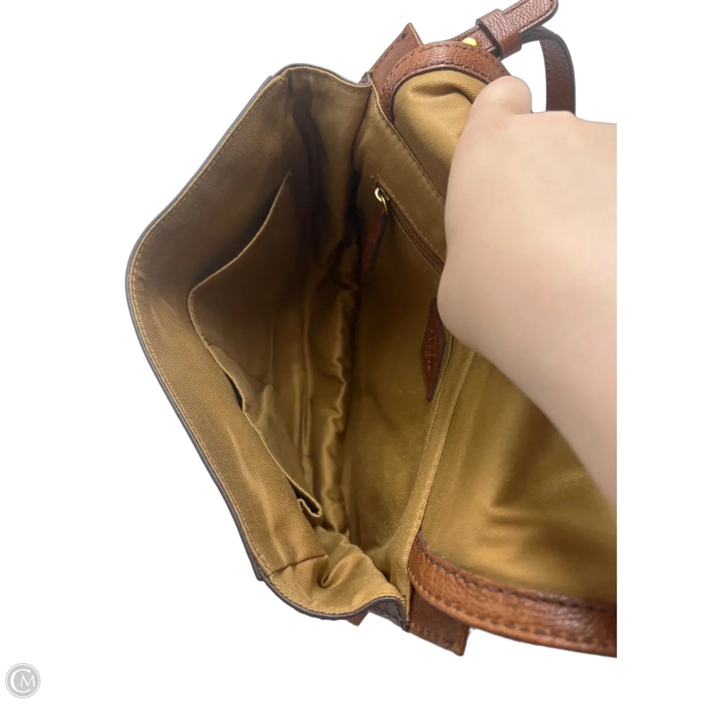 Crossbody Designer By Fossil