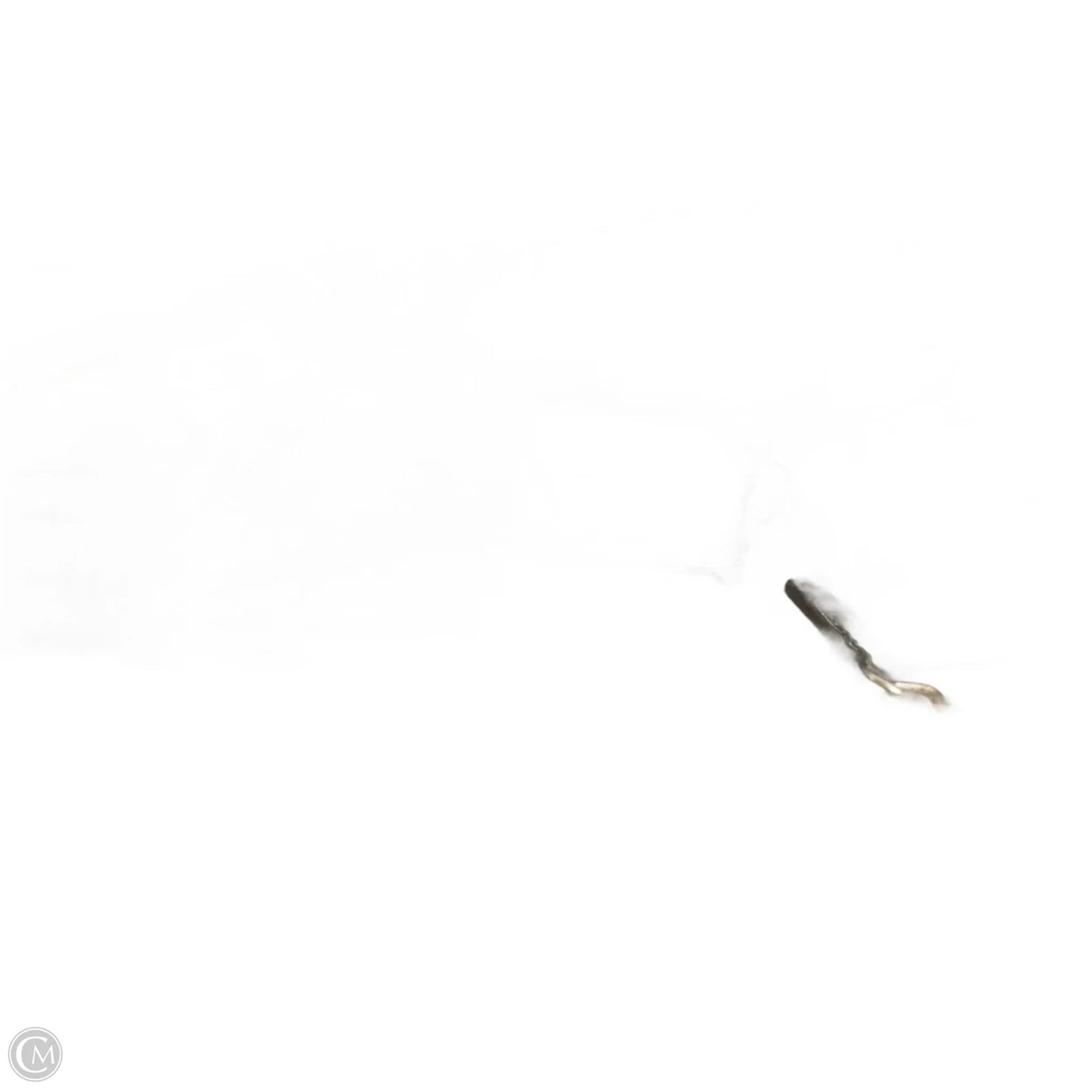 Crossbody Designer By Michael Kors, Size: Medium