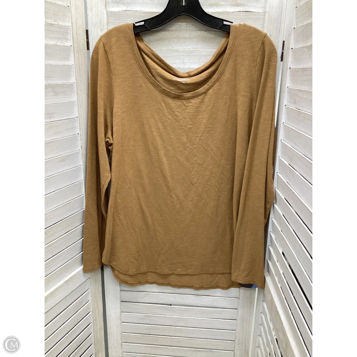 Top Long Sleeve By Tahari By Arthur Levine In Brown, Size: Xl