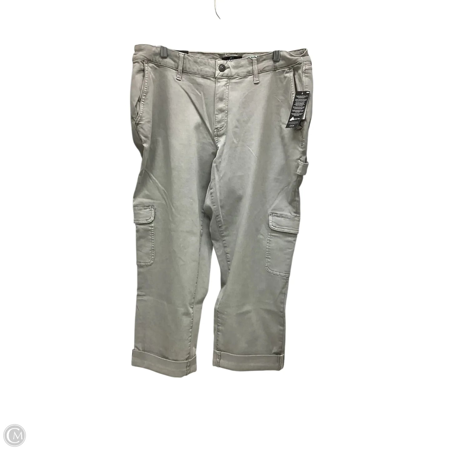 Pants Chinos & Khakis By Lularoe In Grey, Size: 16