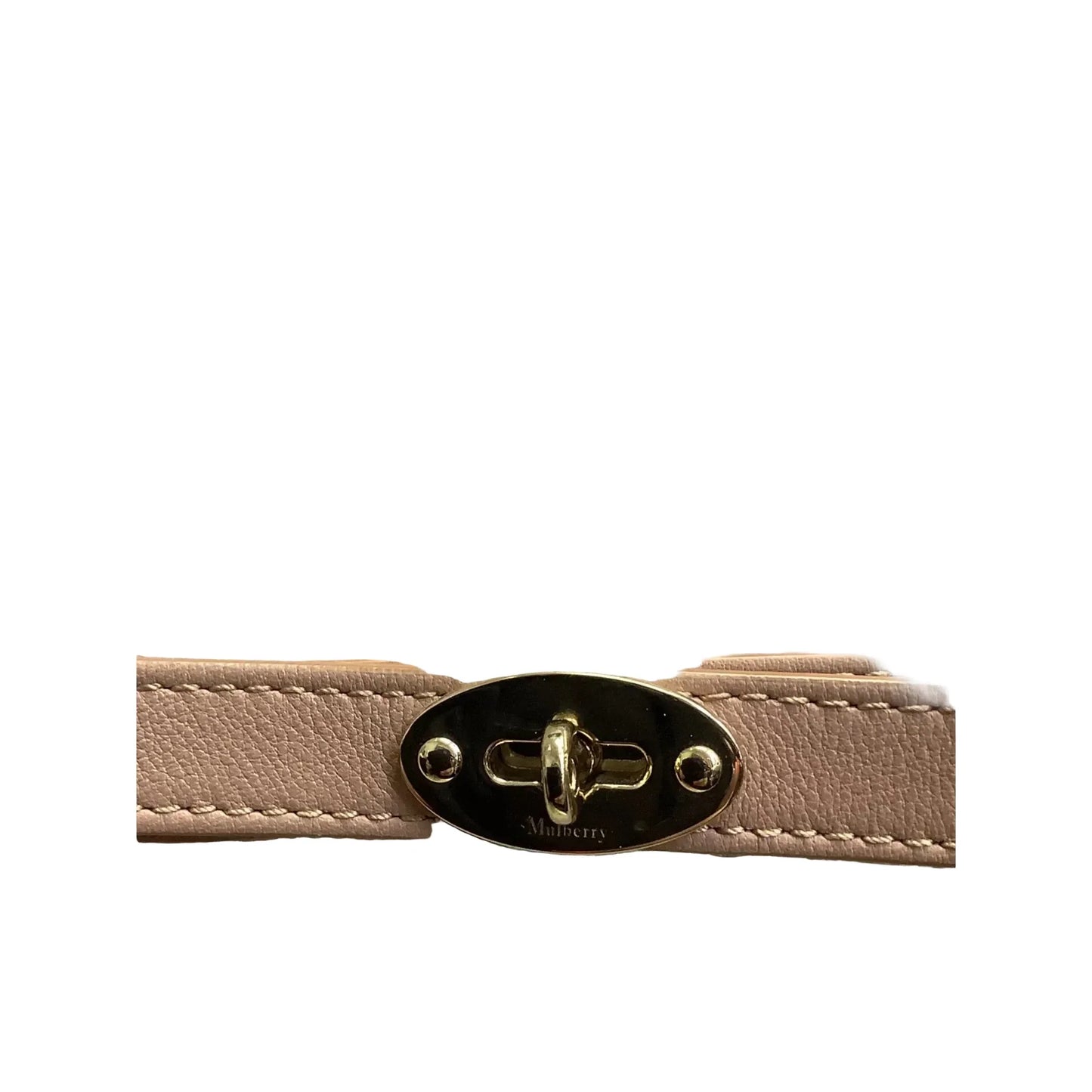 Handbag Luxury Designer By Mulberry, Size: Medium