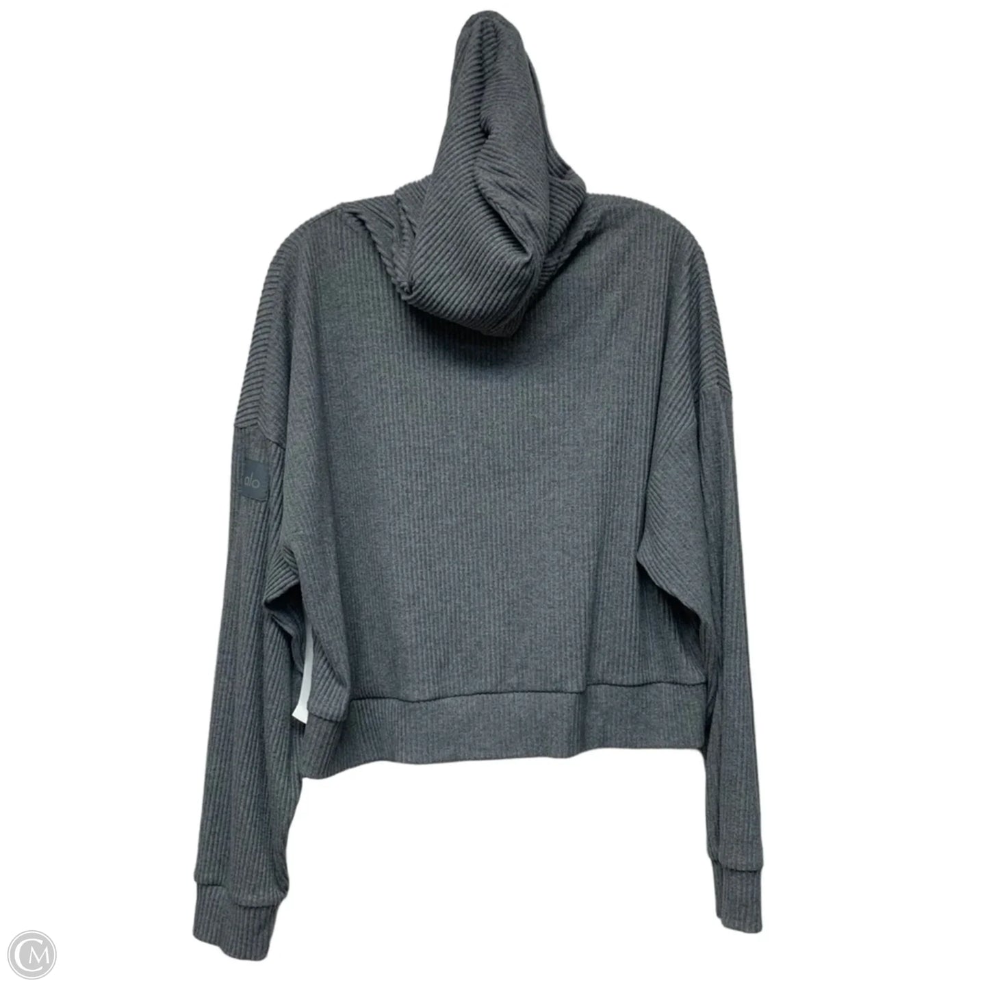 Sweatshirt Hoodie By Alo In Grey, Size: M