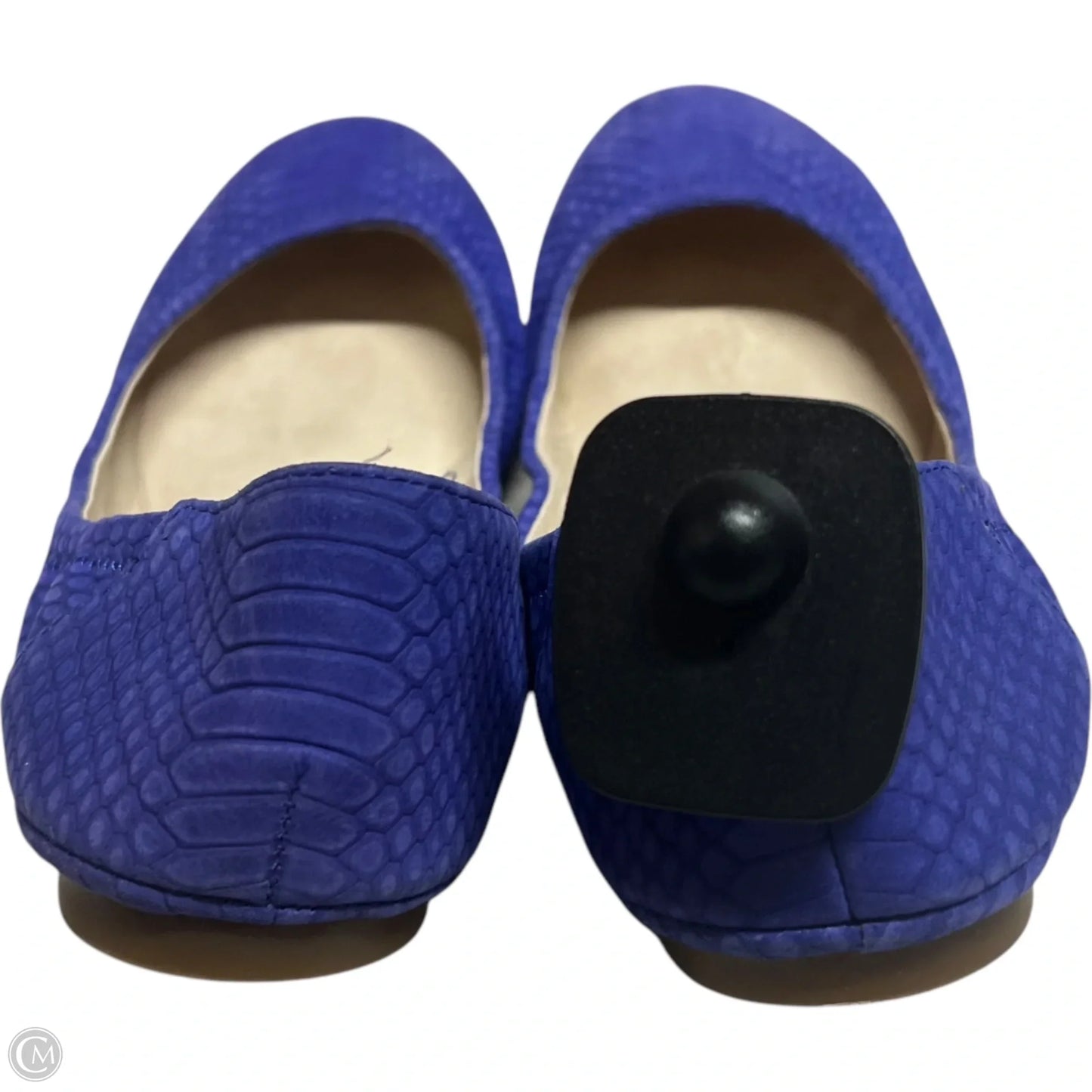 Shoes Flats By Vince Camuto In Blue, Size: 7.5
