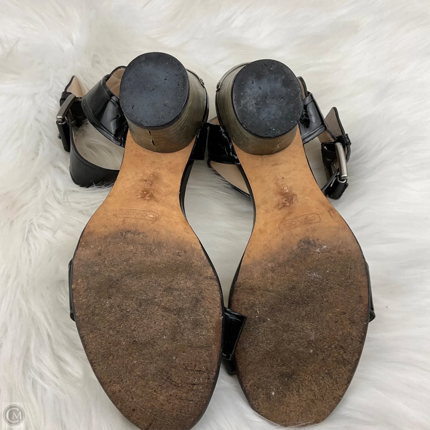 Shoes Designer By Coach In Black, Size: 7.5