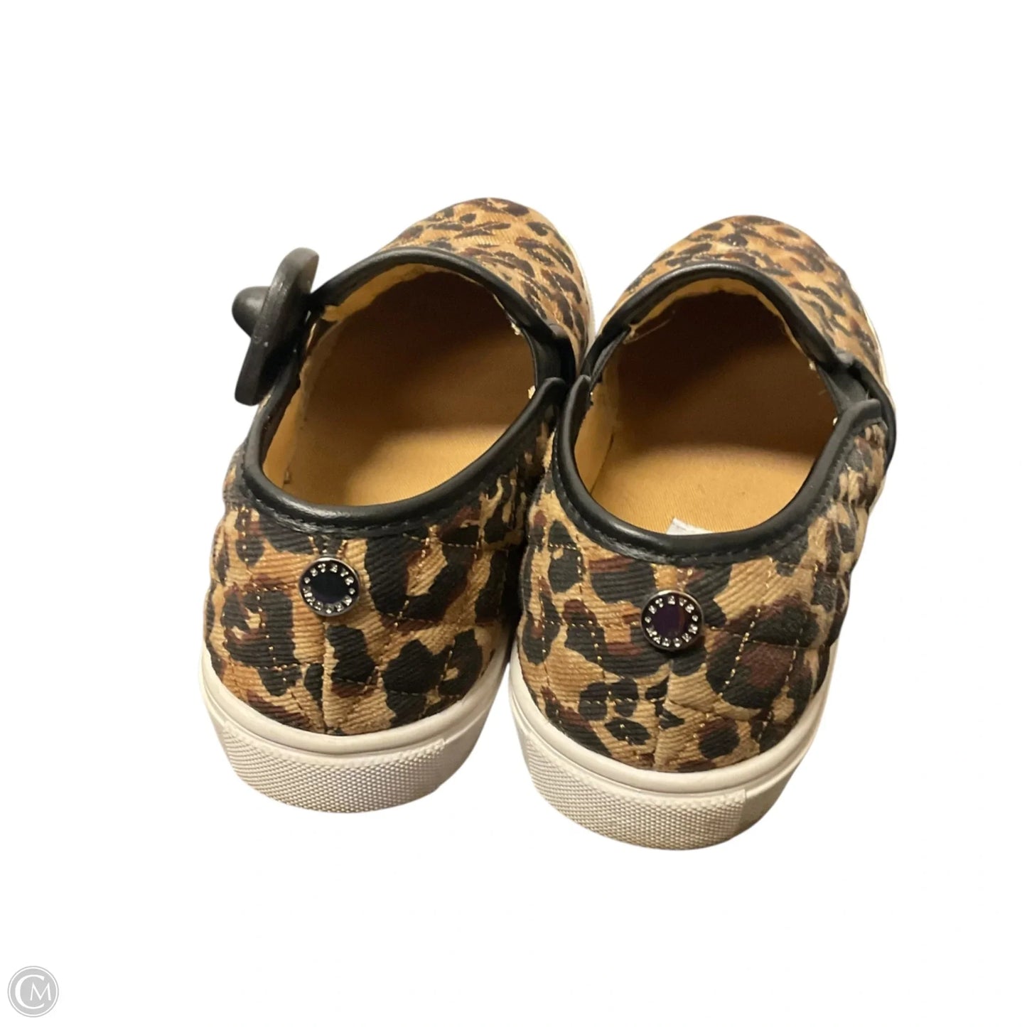 Shoes Flats By Steve Madden In Animal Print, Size: 8.5