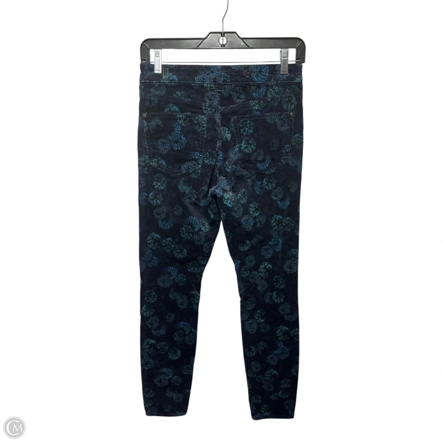 Pants Velvet By Pilcro In Floral Print, Size: 2