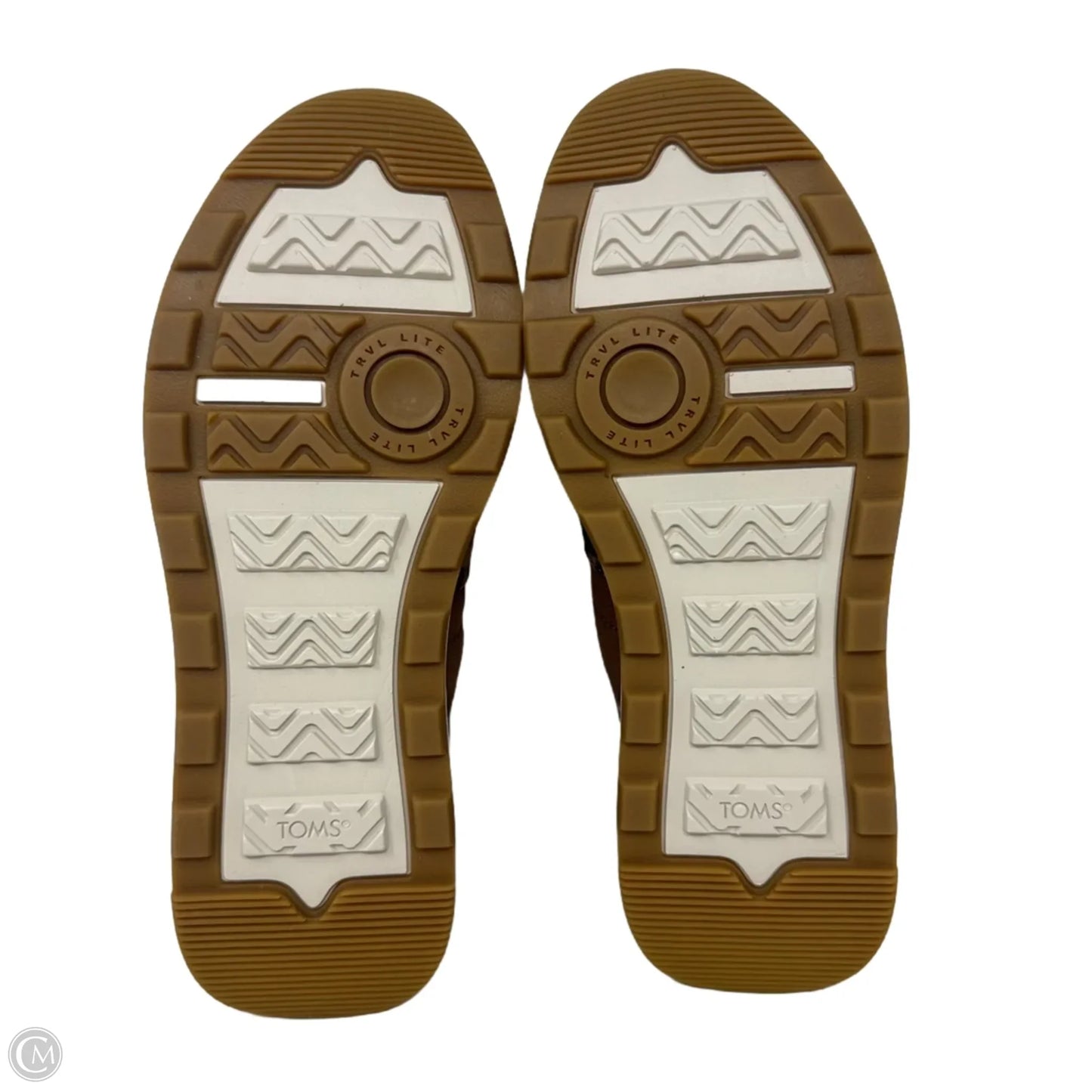 Shoes Sneakers By Toms In Animal Print, Size: 7