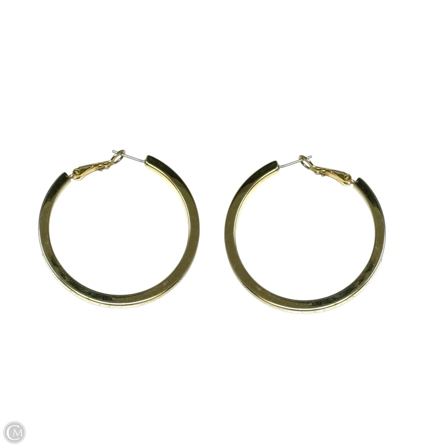 Gold Tone Hoop Earrings