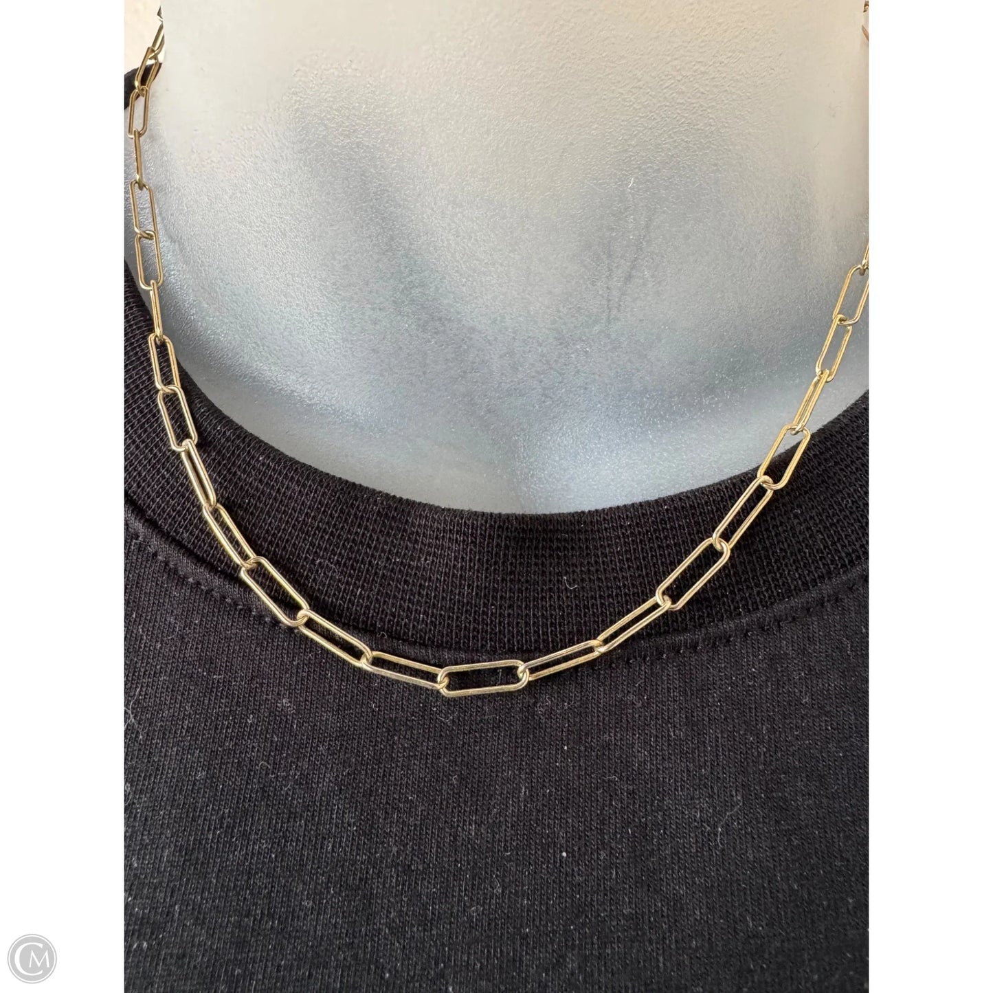 Necklace Chain By Clothes Mentor