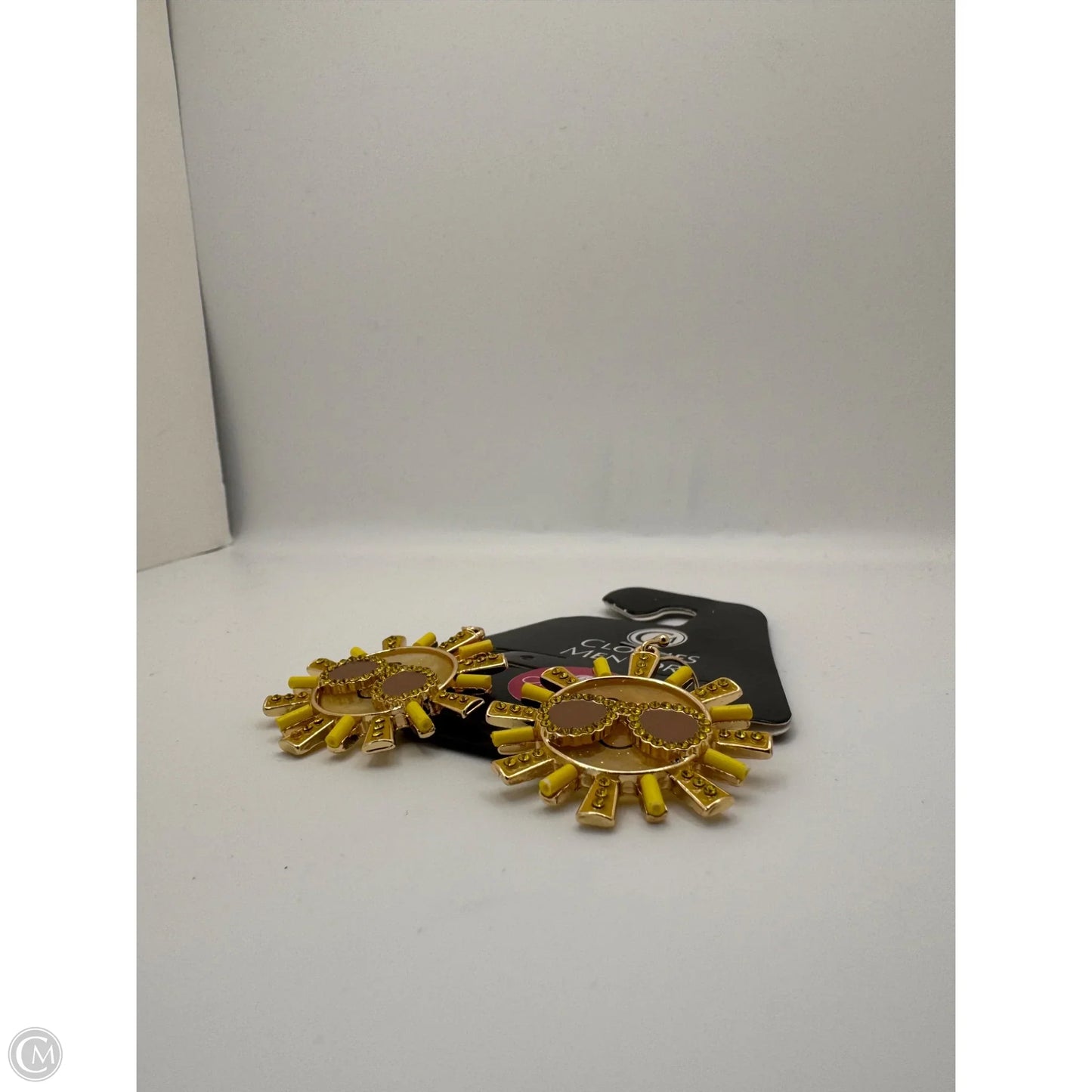 Earrings Dangle/drop By Clothes Mentor