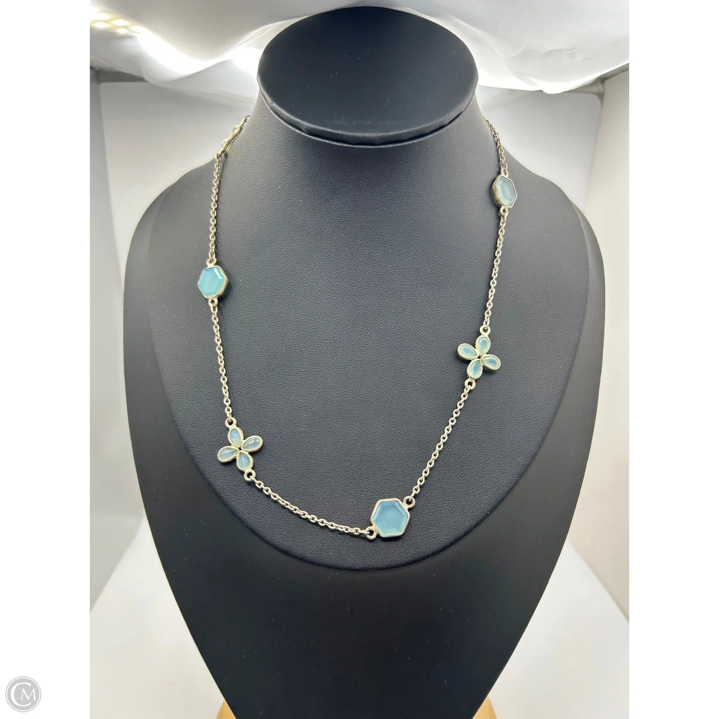 Necklace Chain By Clothes Mentor